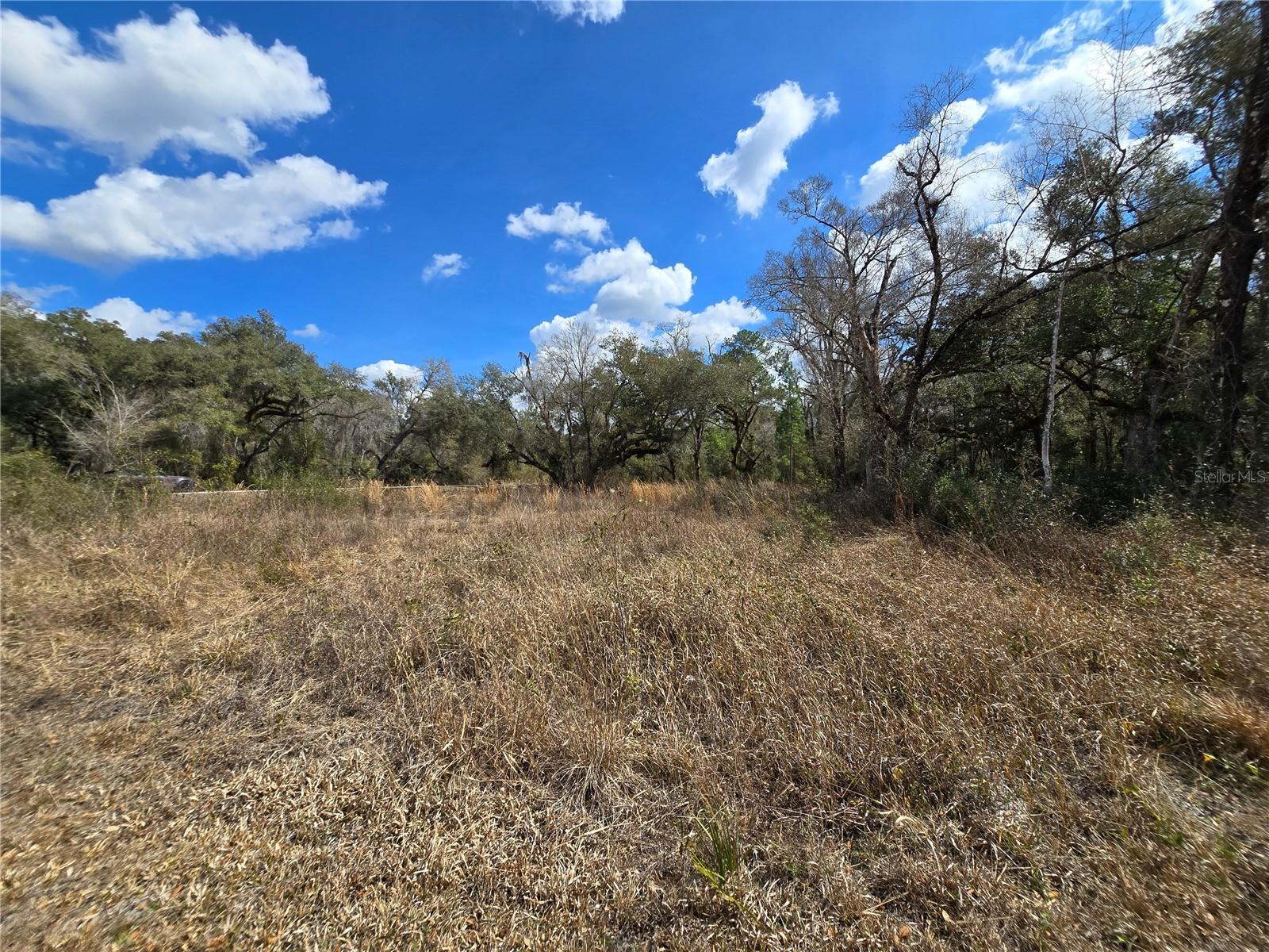 Image 11 of 14 For 6436 Yam Street