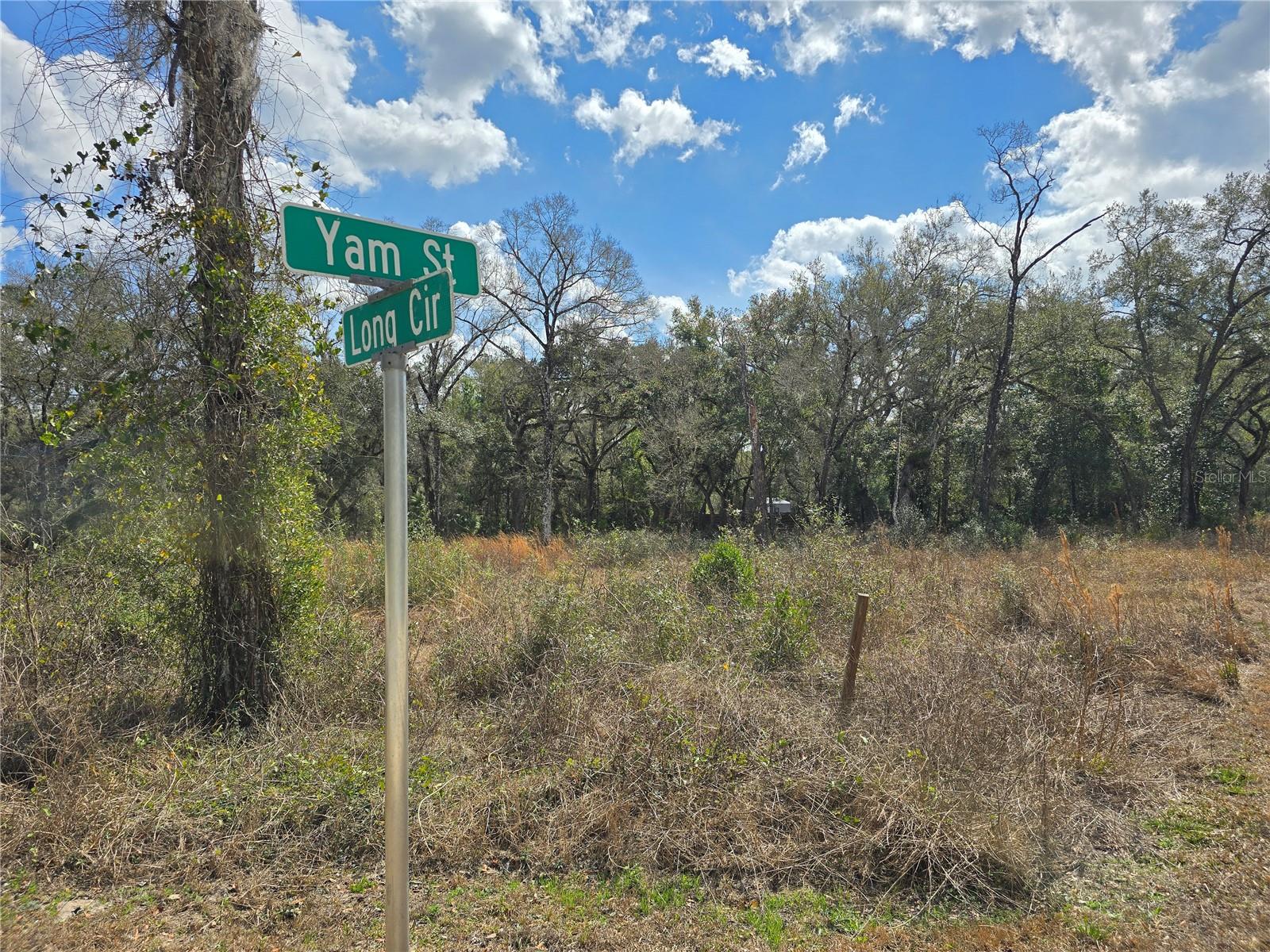 Image 2 of 14 For 6436 Yam Street