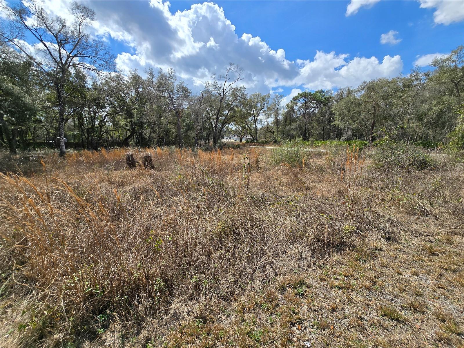 Image 5 of 14 For 6436 Yam Street