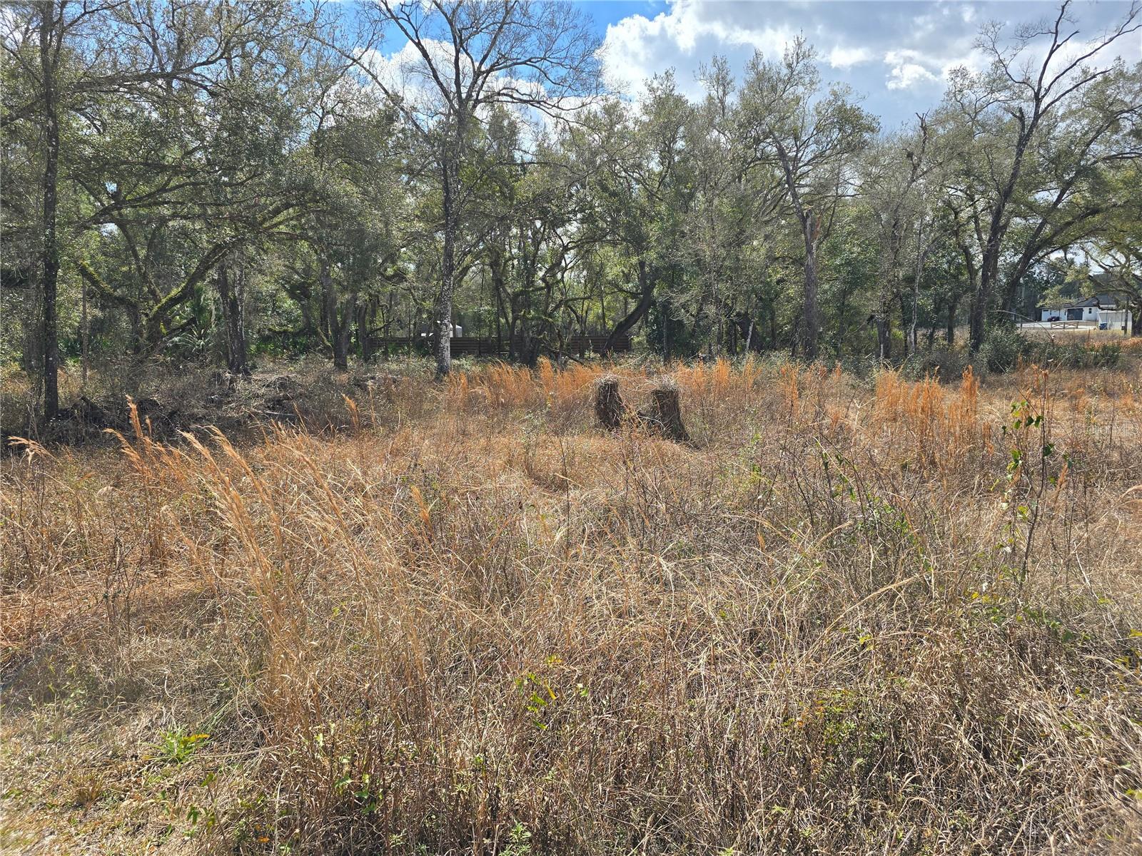 Image 6 of 14 For 6436 Yam Street