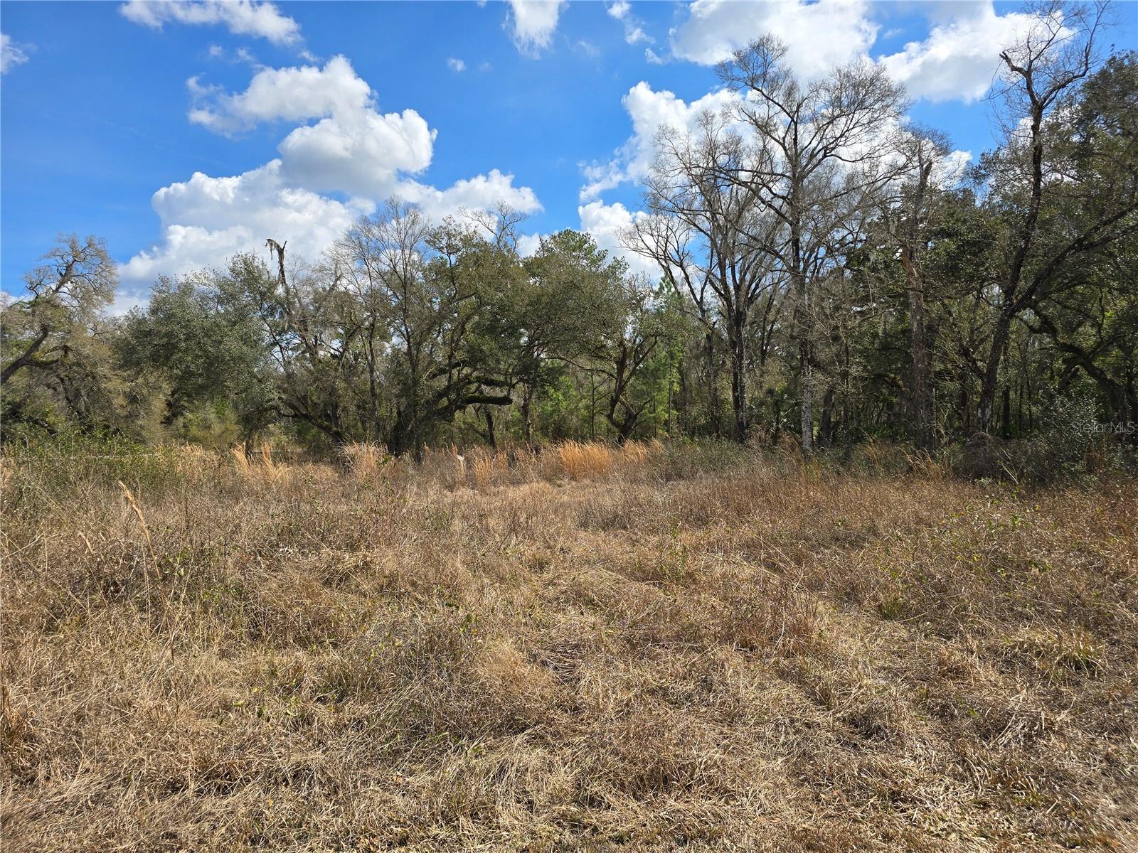 Image 9 of 14 For 6436 Yam Street