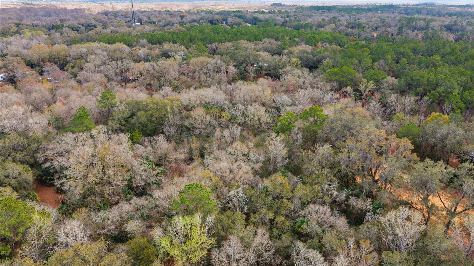 Image 10 of 11 For 598 Chambers Way