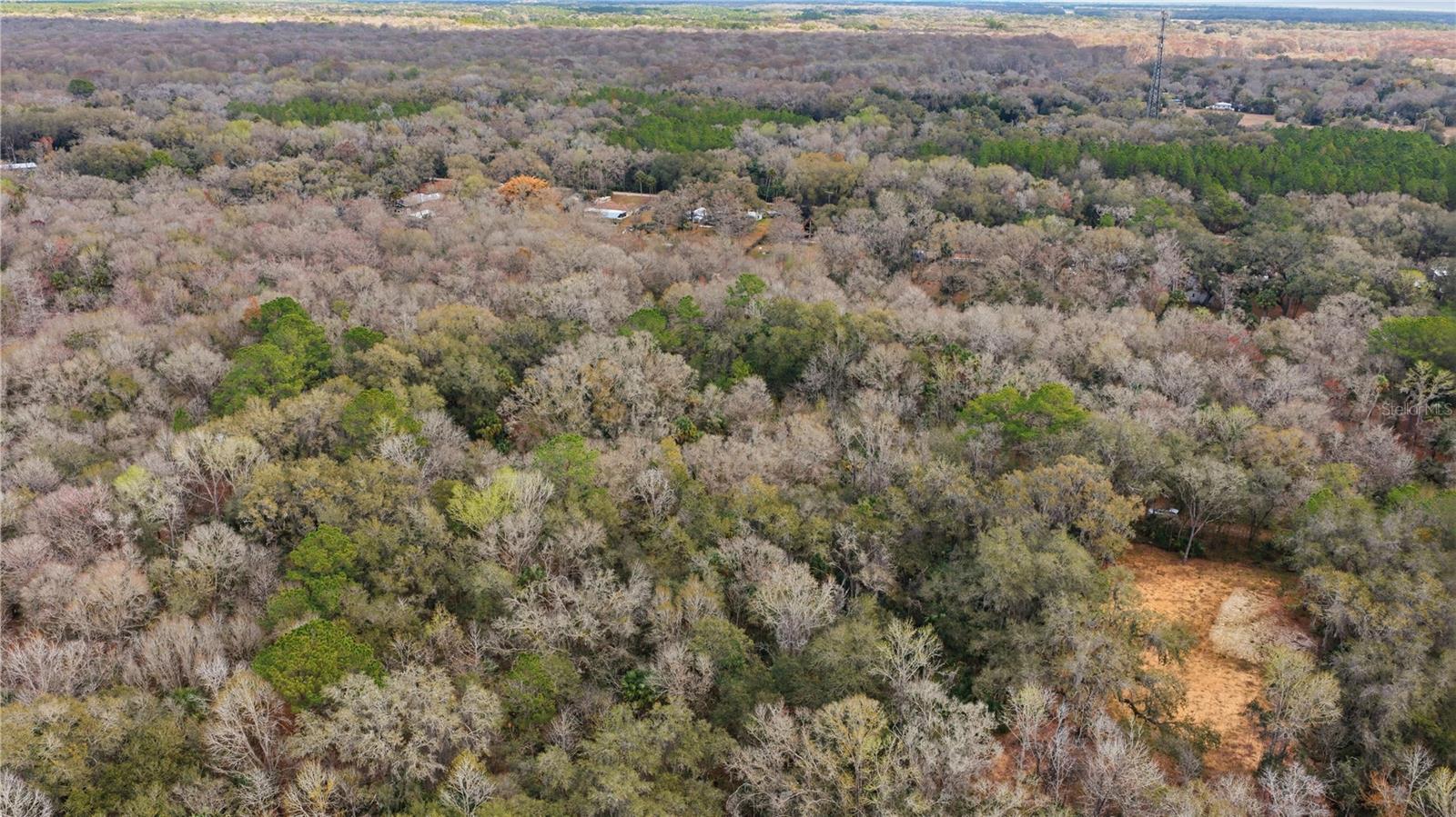 Image 11 of 11 For 598 Chambers Way