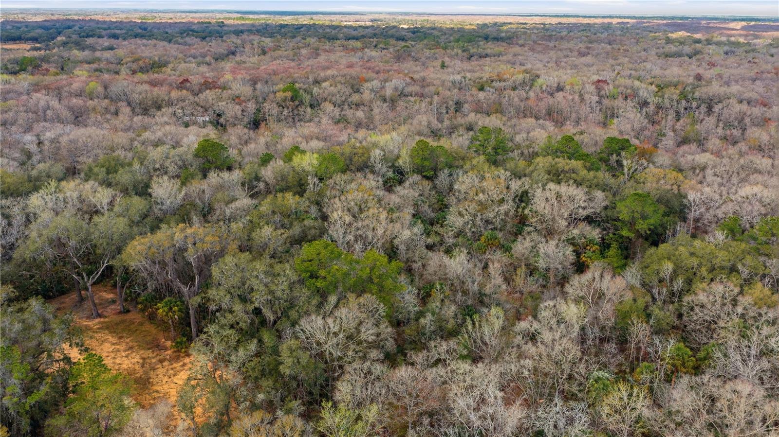 Image 5 of 11 For 598 Chambers Way