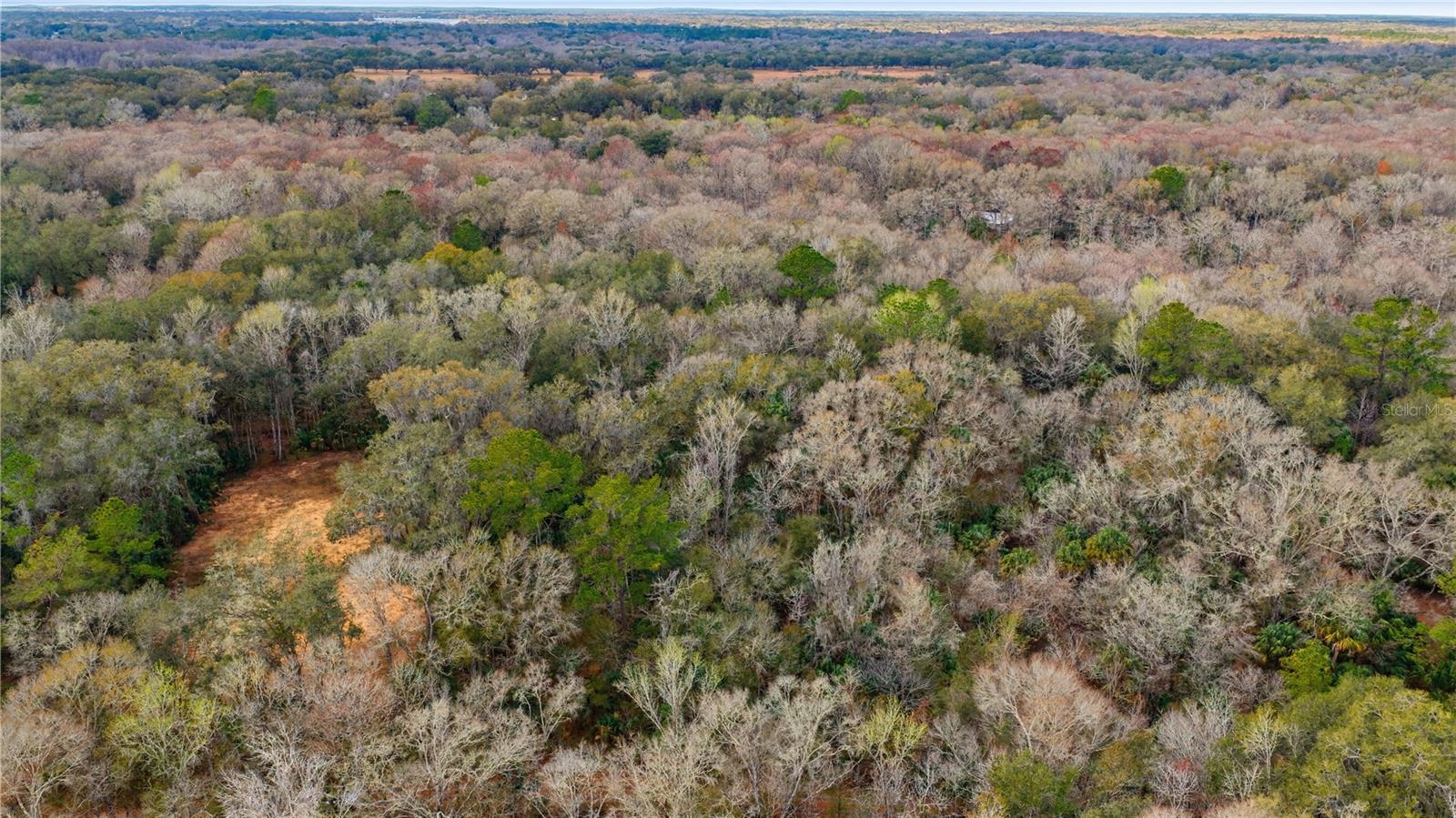 Image 6 of 11 For 598 Chambers Way