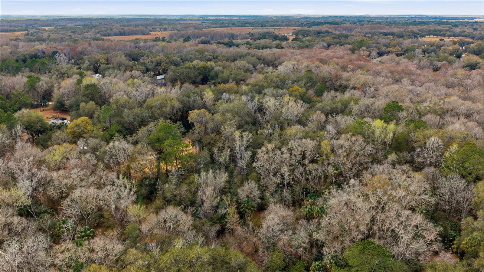 Image 7 of 11 For 598 Chambers Way