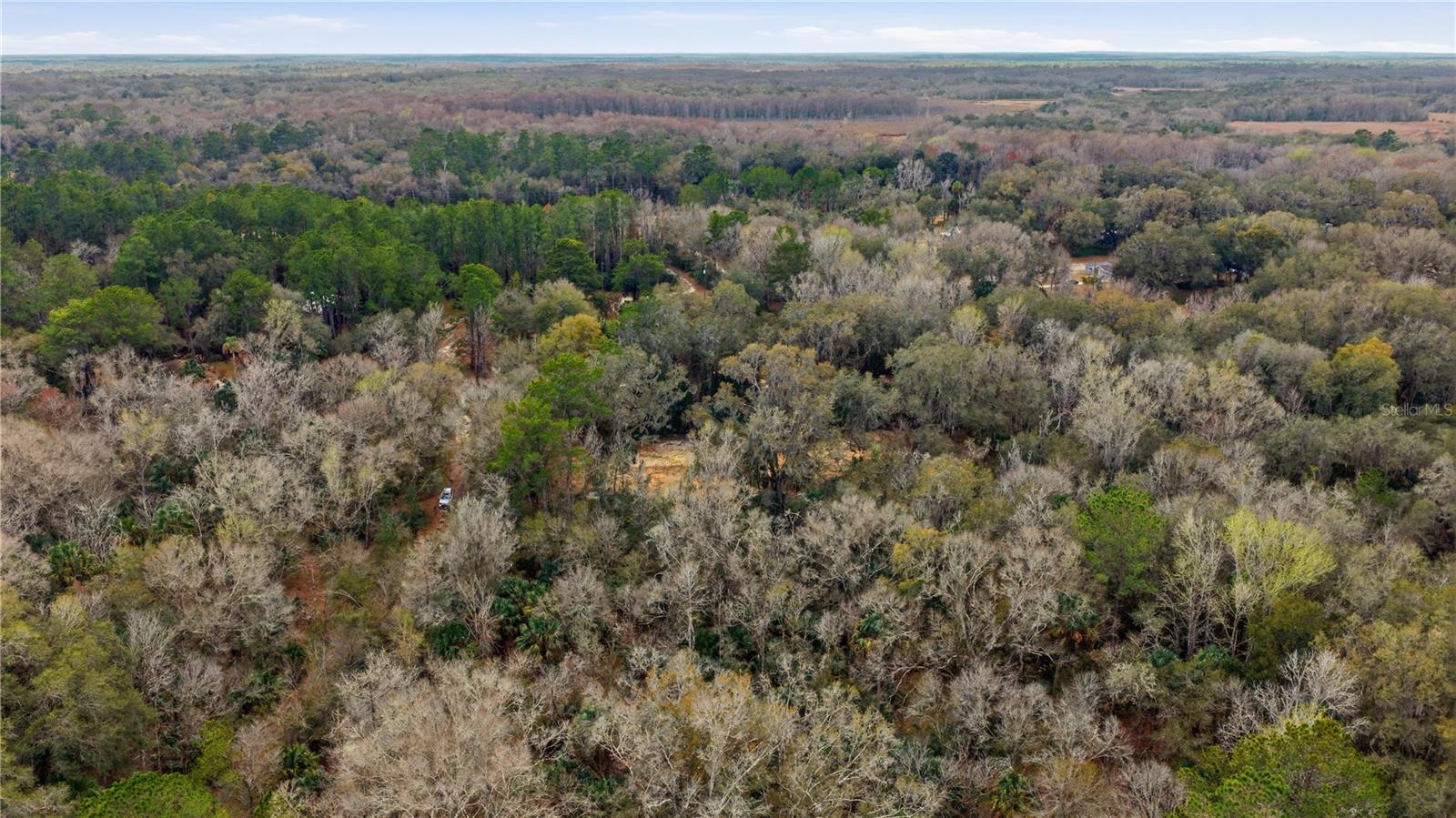 Image 8 of 11 For 598 Chambers Way