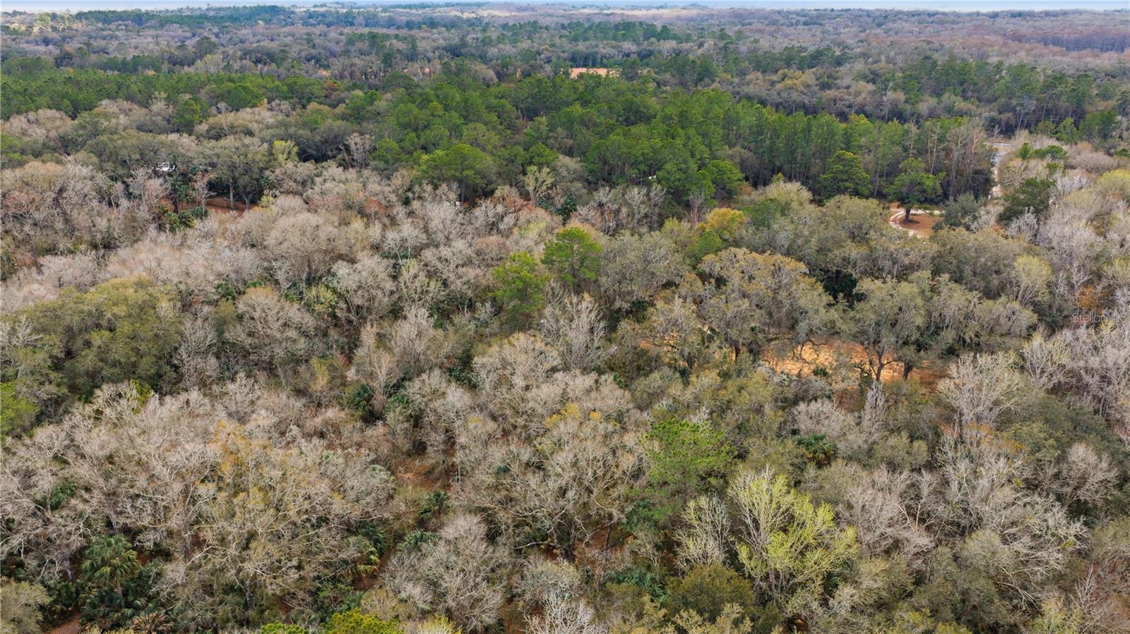 Image 9 of 11 For 598 Chambers Way