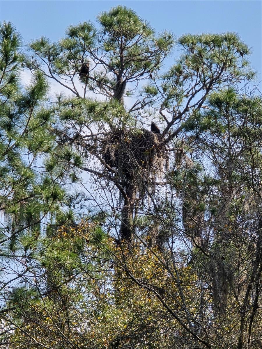 Image 5 of 9 For 13837 201st Terrace