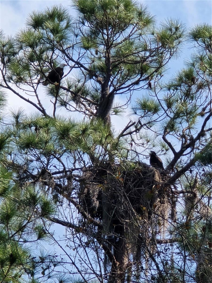 Image 9 of 9 For 13837 201st Terrace
