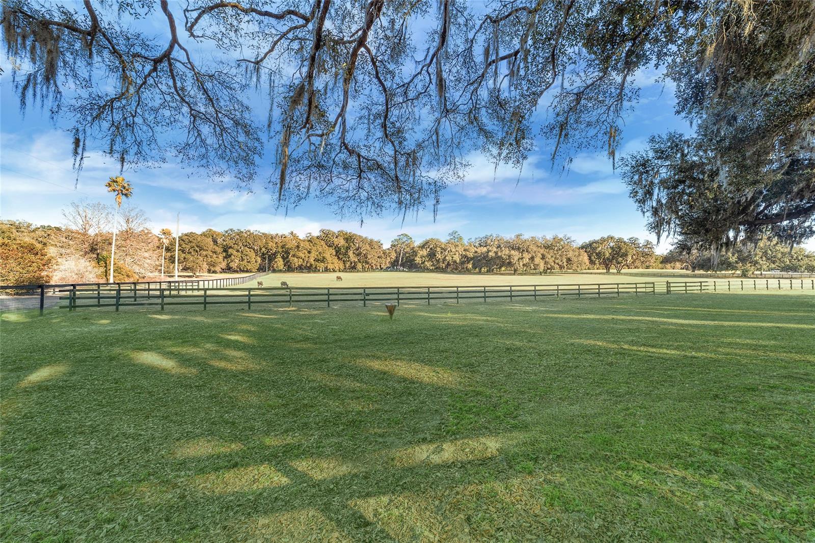 Listing photo id 57 for 8038 162nd Court