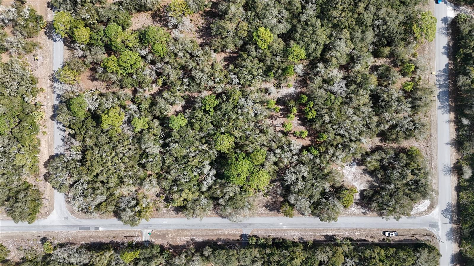 Image 2 of 9 For 12786 Cornflower Drive