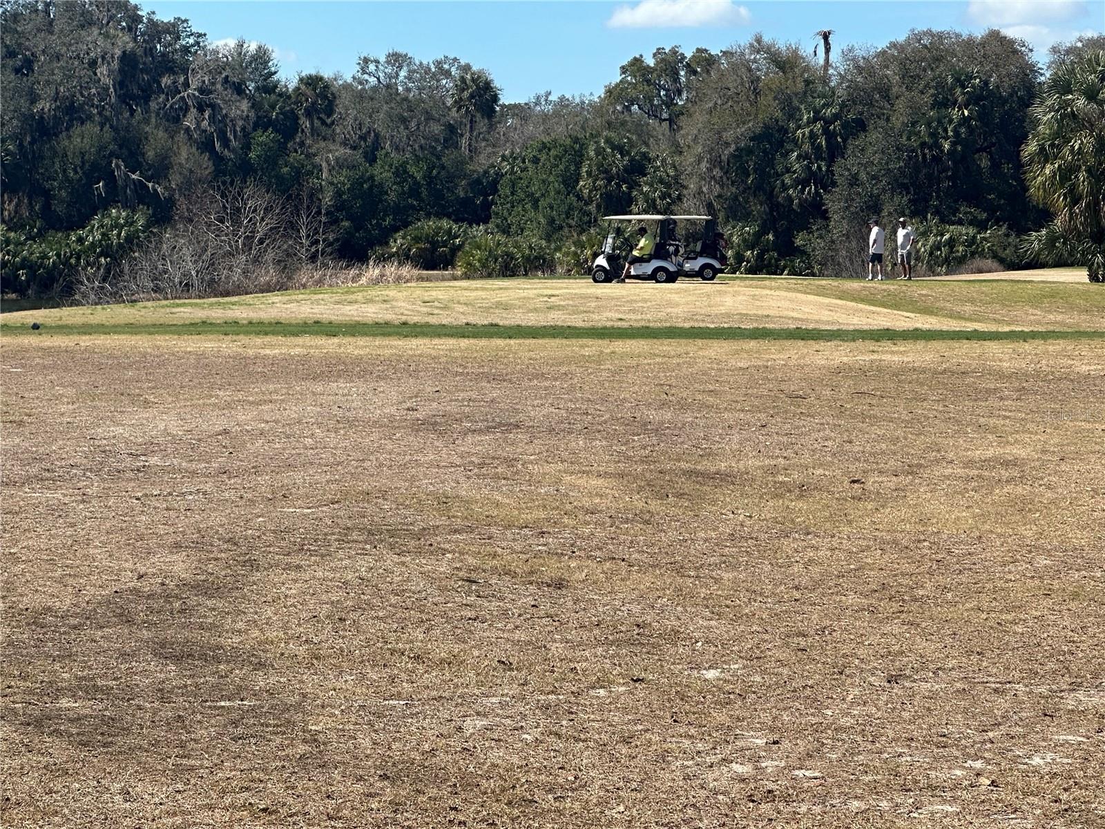 Image 6 of 16 For 763 Midway Drive B