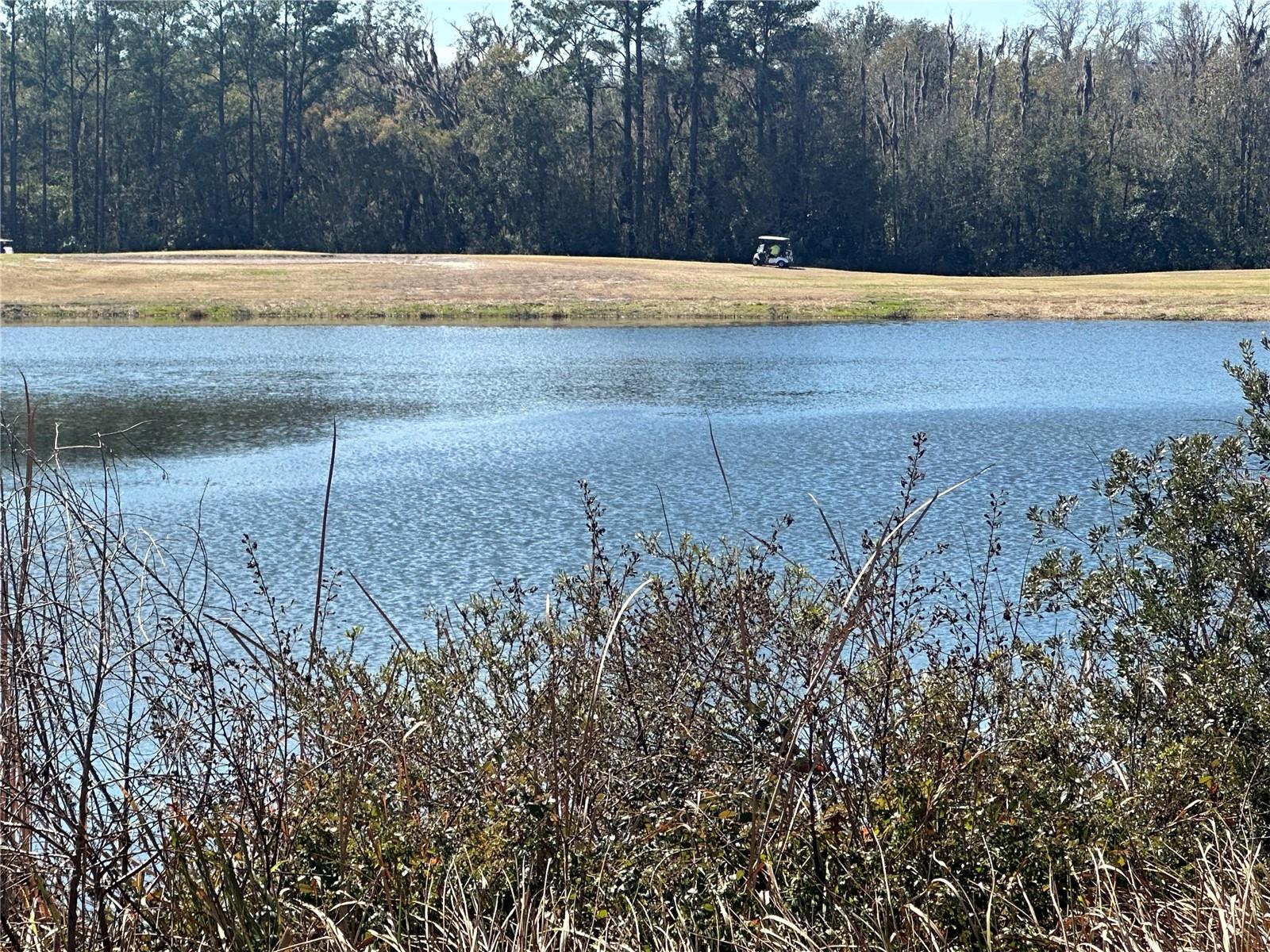 Image 7 of 16 For 763 Midway Drive B