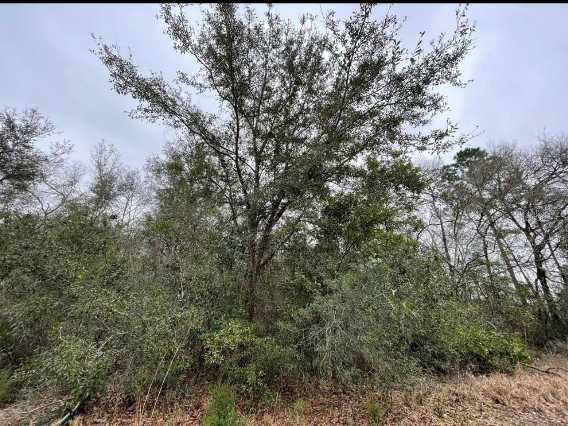 Image 2 of 4 For 0 128 Avenue