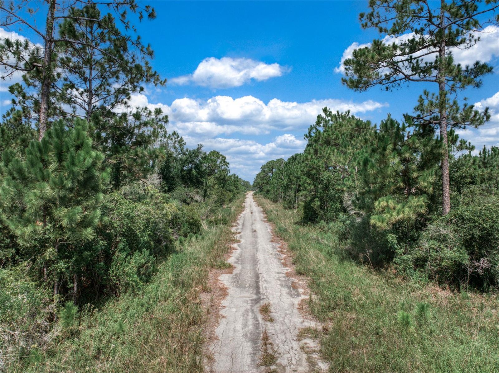 Image 16 of 24 For 3341 Pheasant Avenue