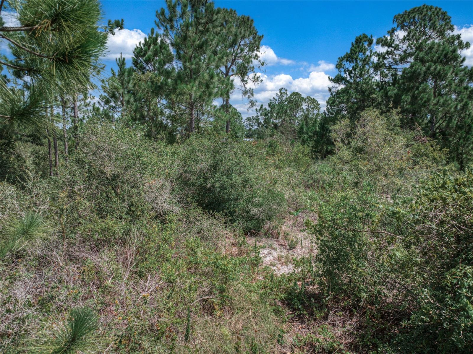 Image 6 of 24 For 3341 Pheasant Avenue