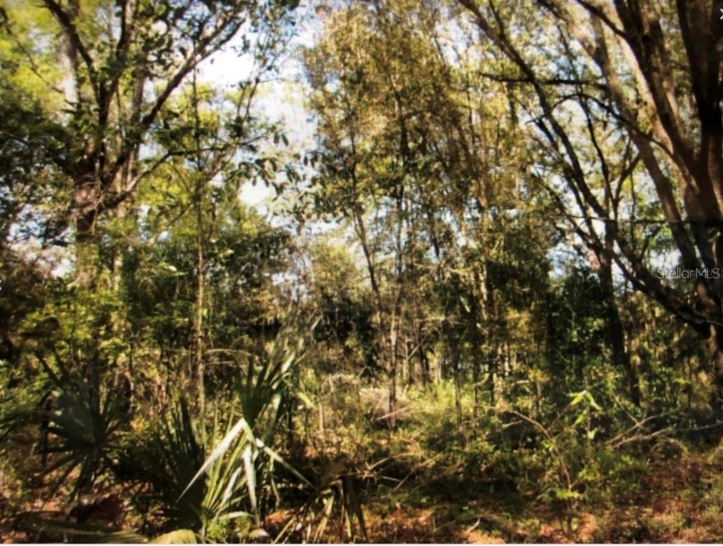 Image 3 of 3 For 0 131st Avenue