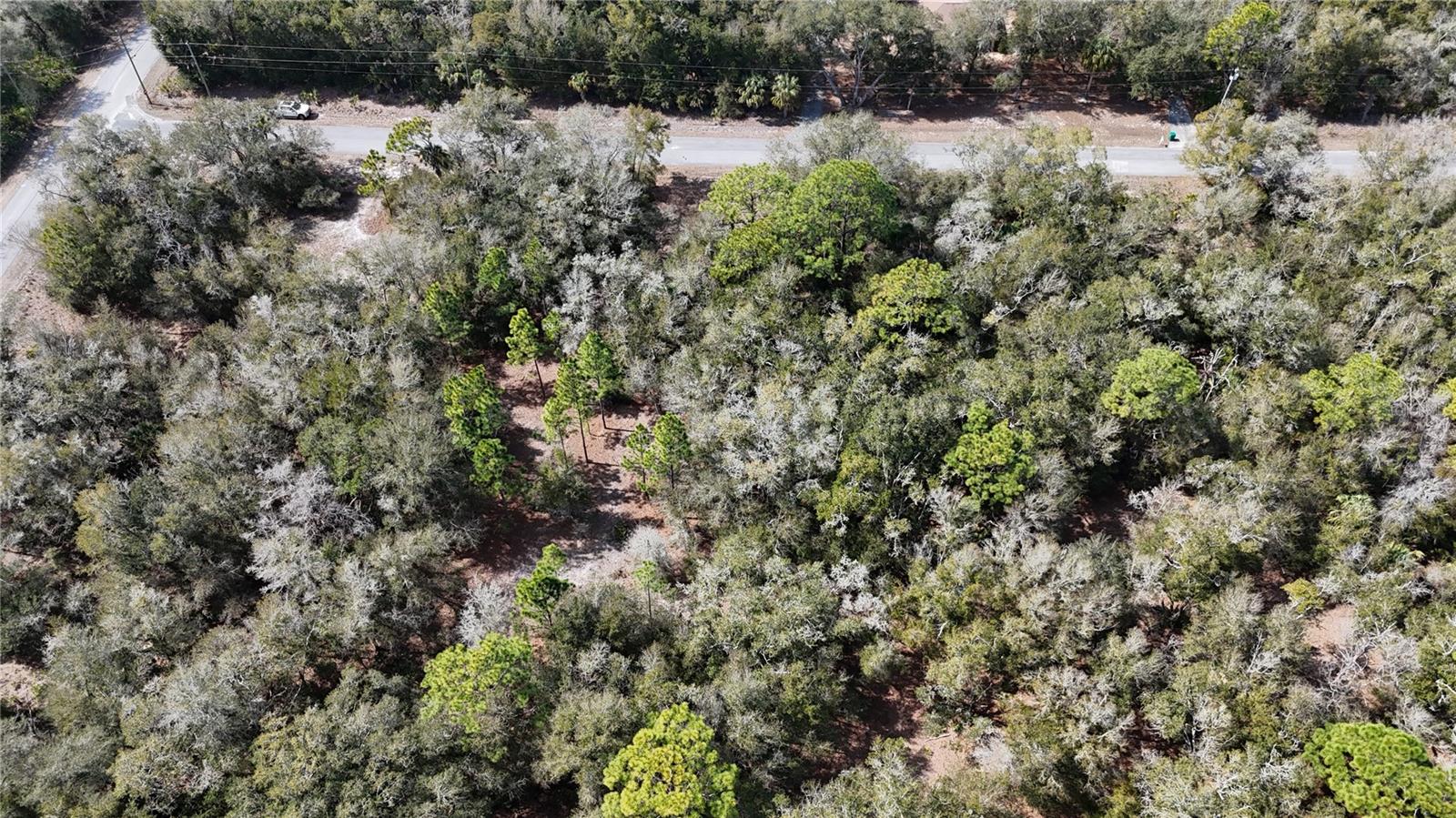 Image 2 of 7 For 12784 Cypress Vine Lane