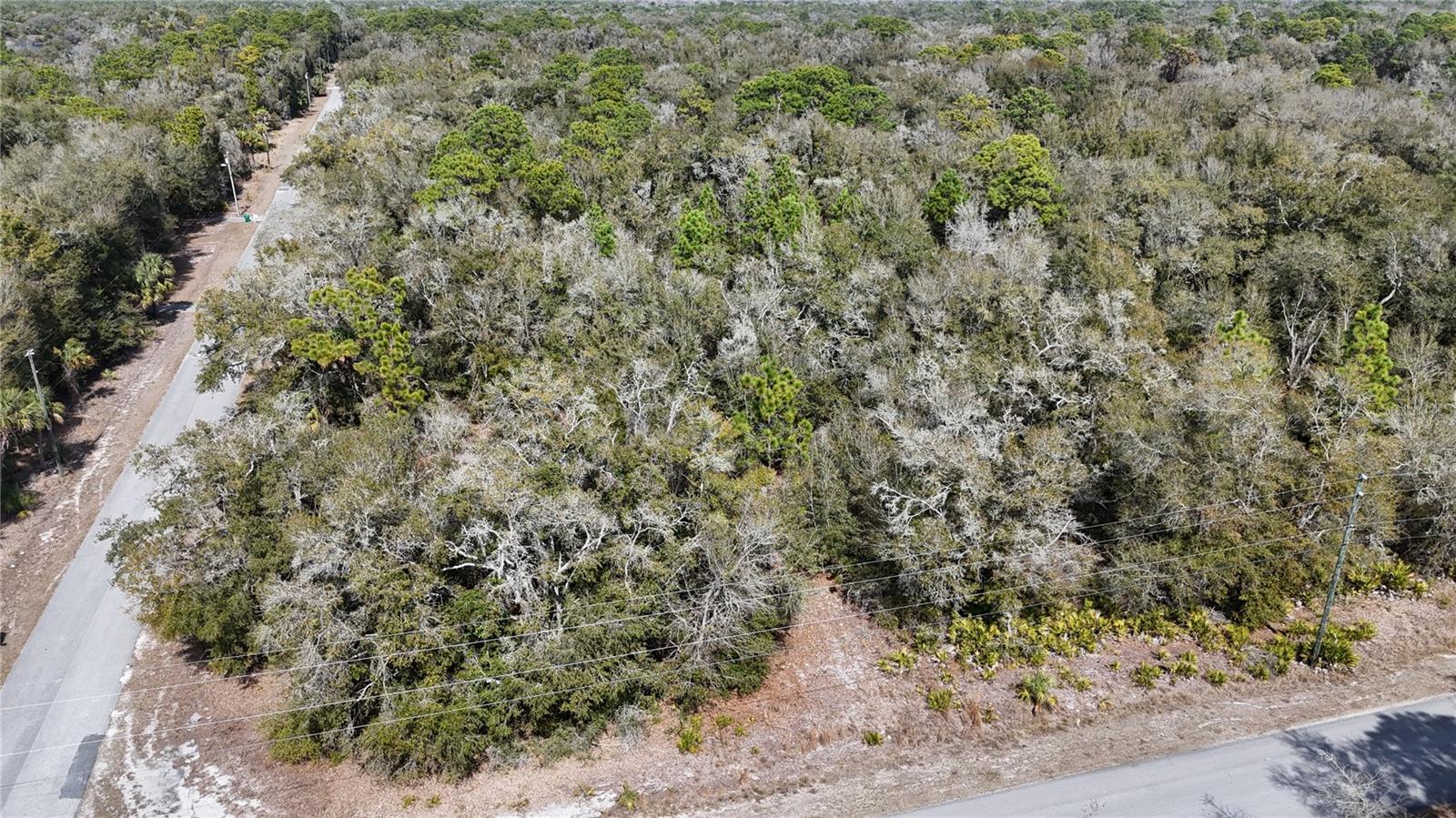 Image 3 of 7 For 12784 Cypress Vine Lane