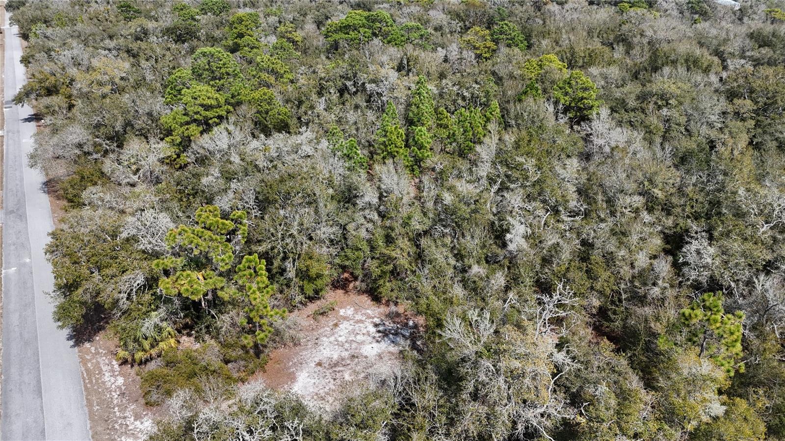 Image 4 of 7 For 12784 Cypress Vine Lane