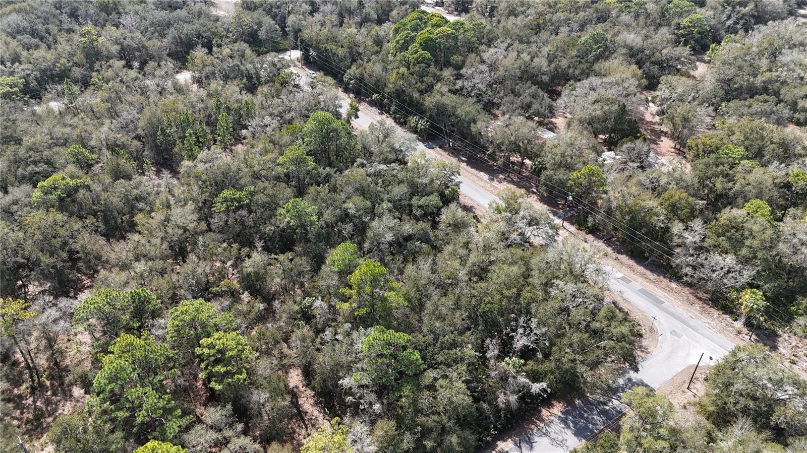 Image 5 of 7 For 12784 Cypress Vine Lane