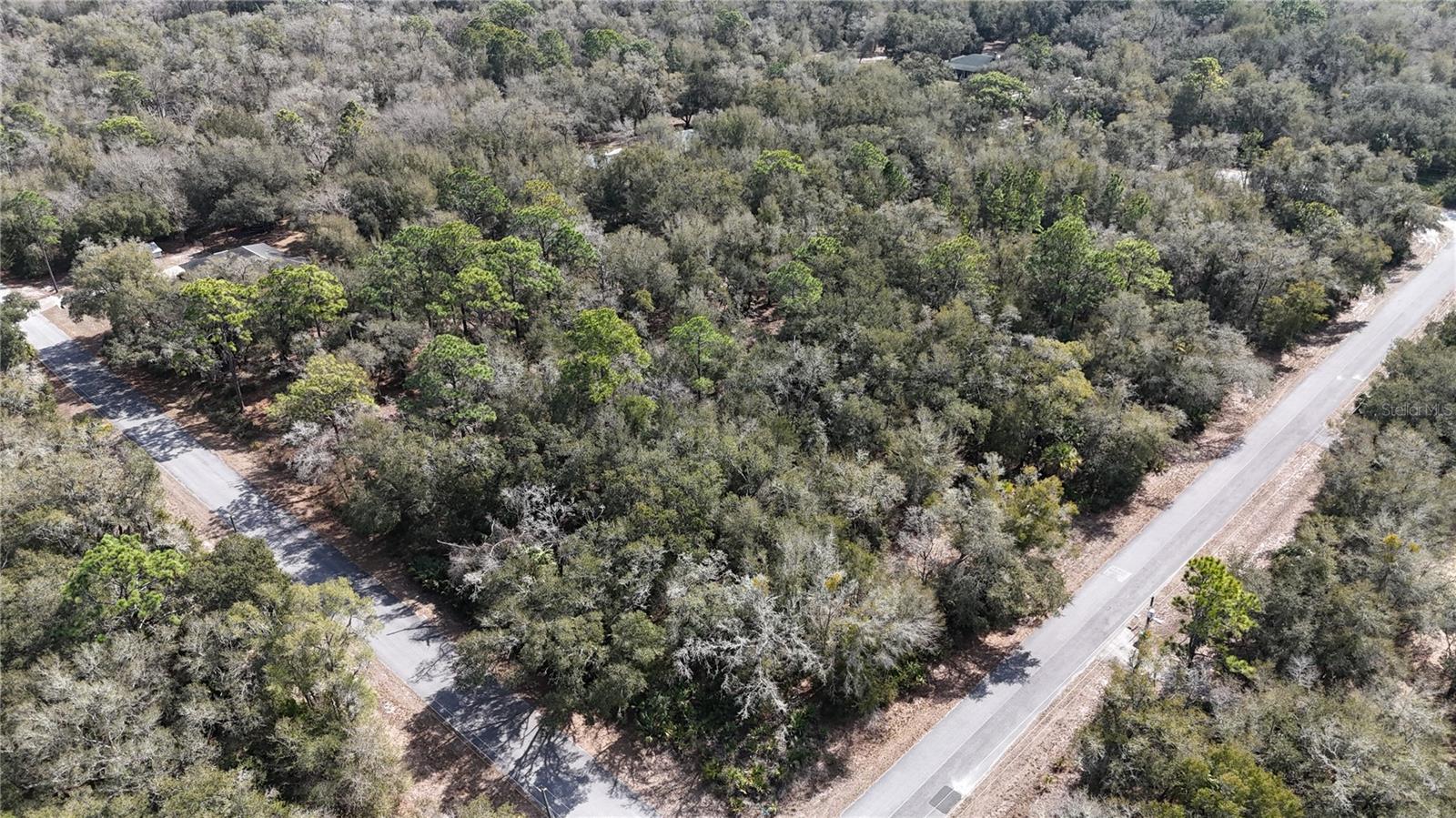 Image 7 of 7 For 12784 Cypress Vine Lane