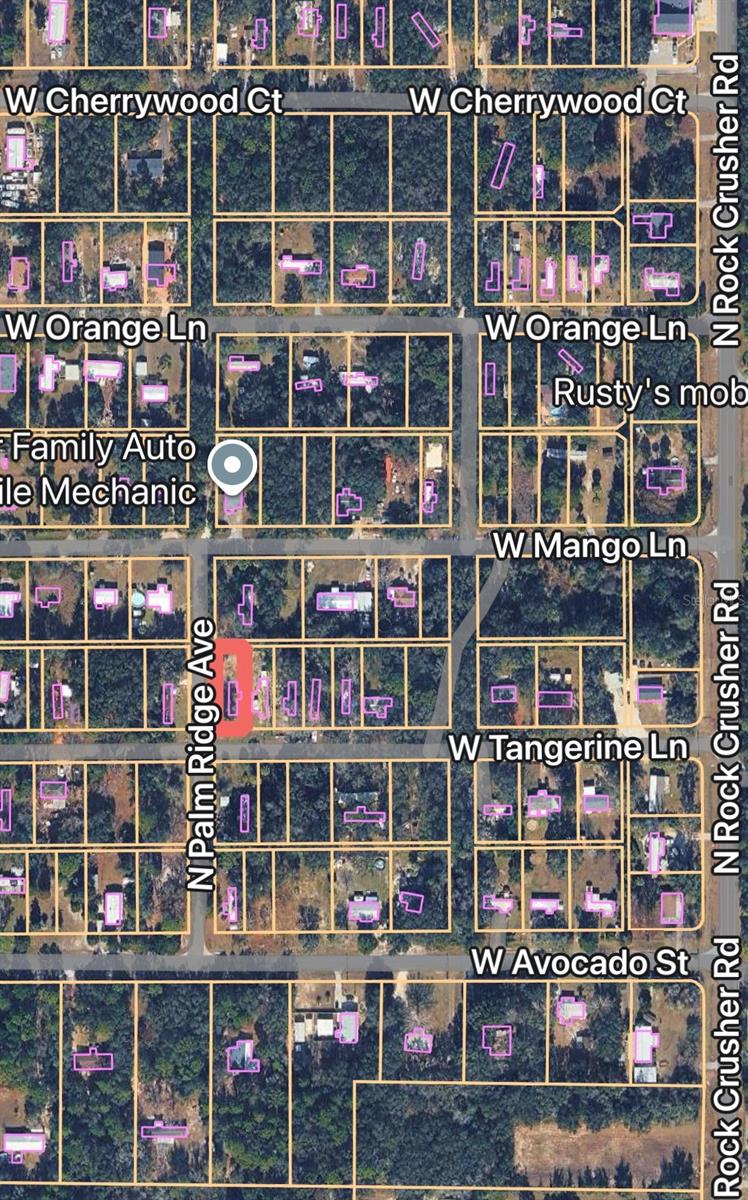 Image 2 of 16 For 589 Palm Ridge Avenue