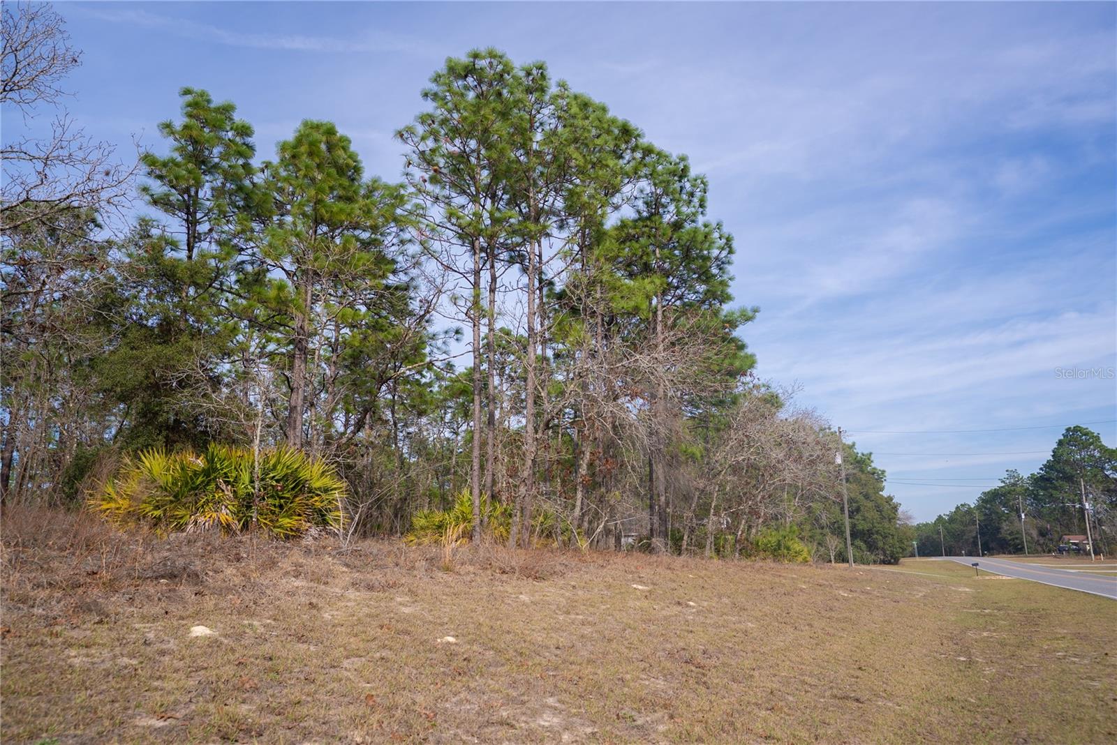 Image 2 of 4 For 2173 Citrus Springs Boulevard