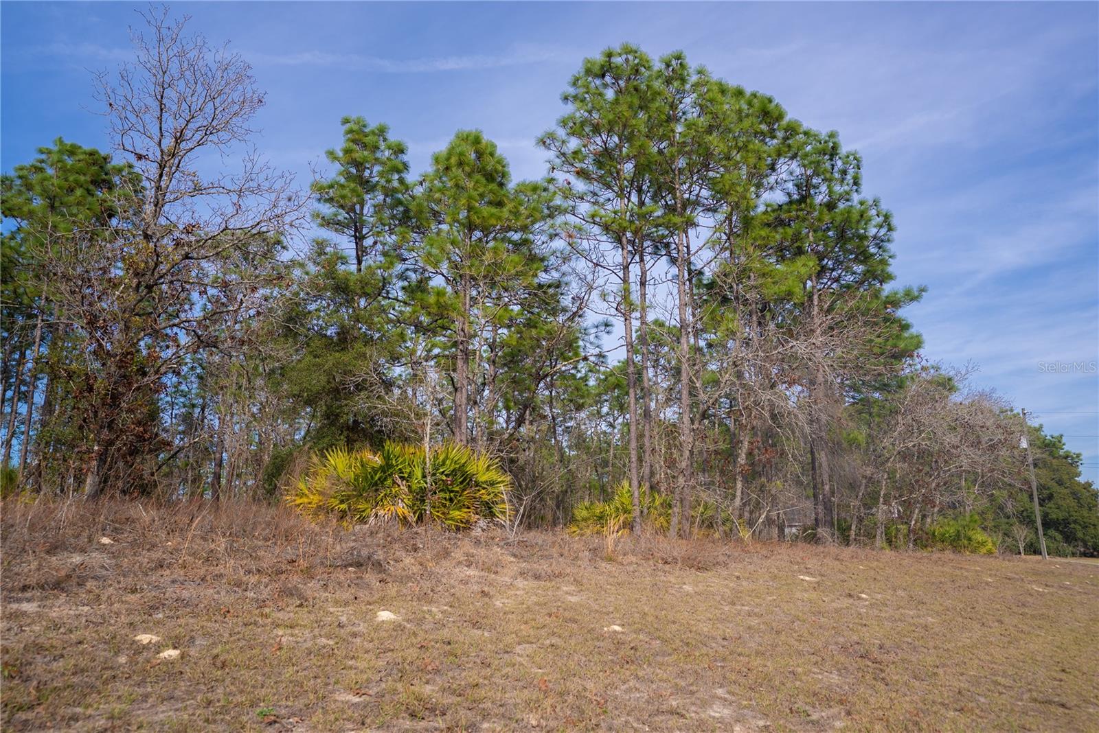 Image 3 of 4 For 2173 Citrus Springs Boulevard