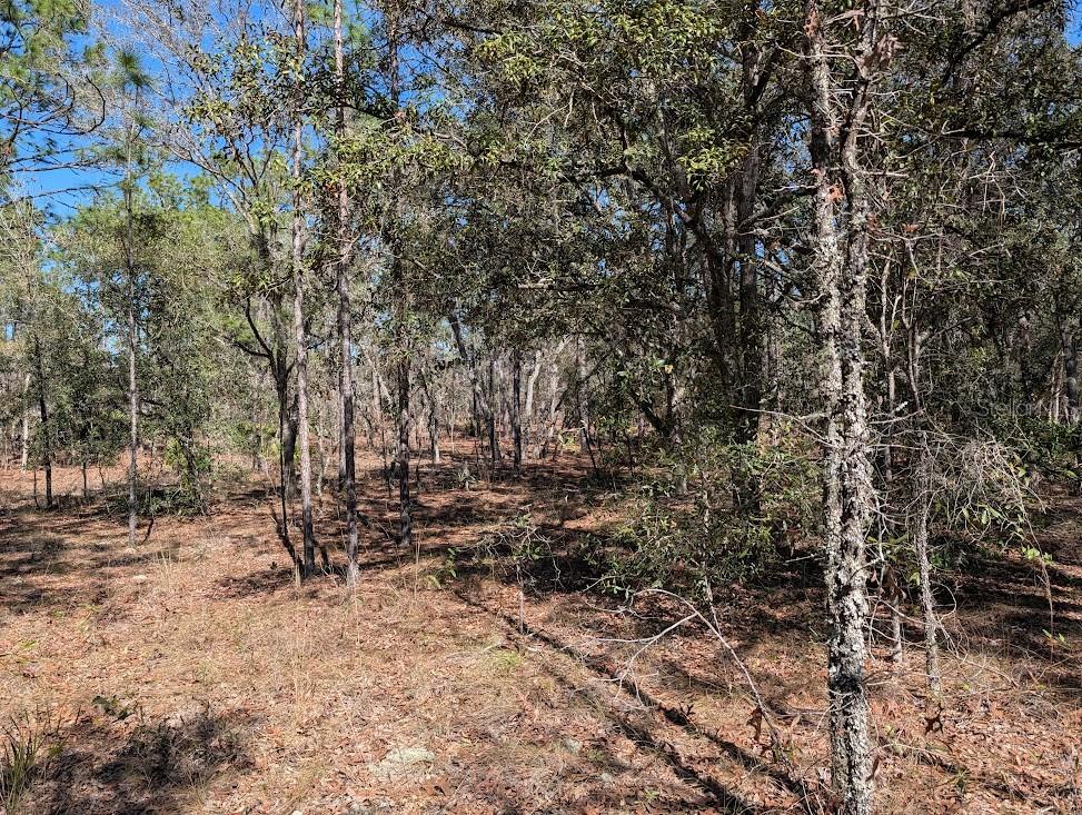 Image 10 of 11 For  81st Street 