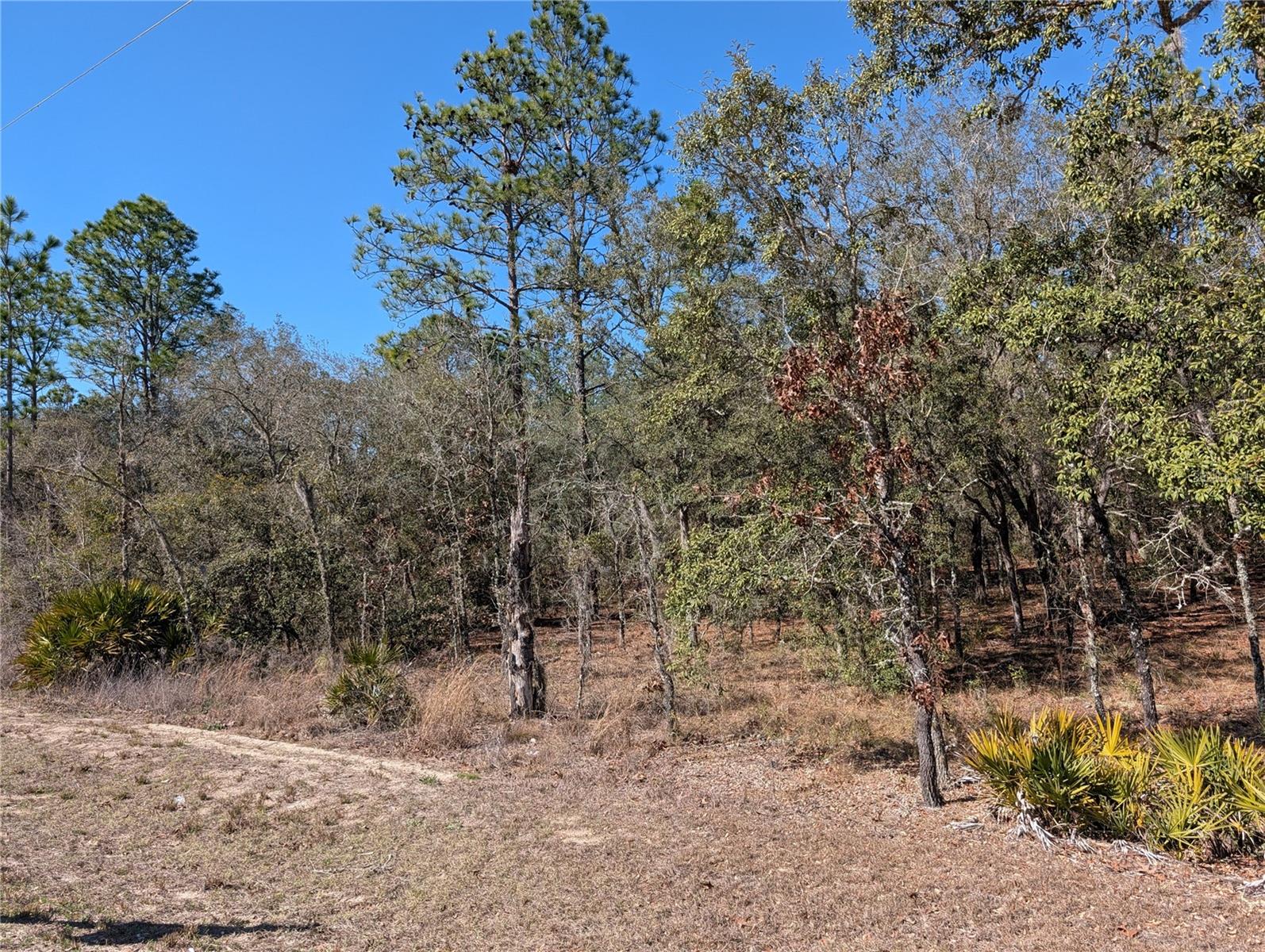 Image 5 of 11 For  81st Street 