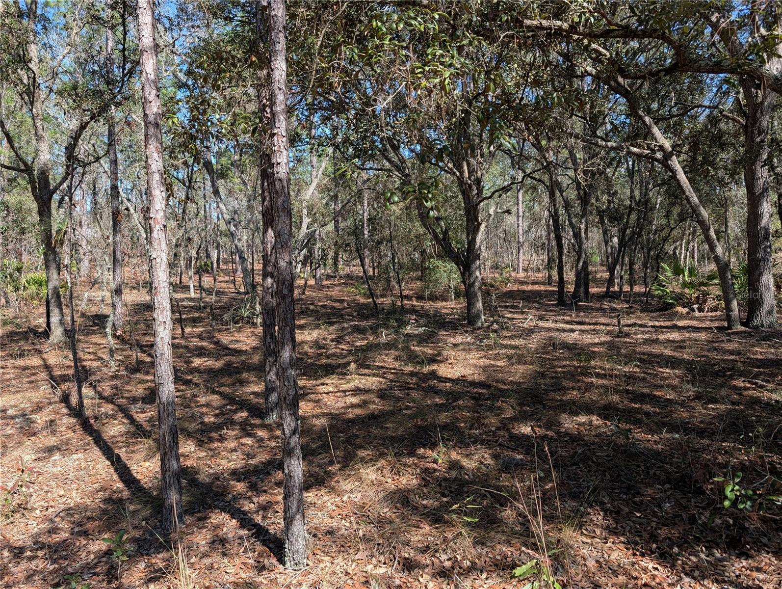 Image 6 of 11 For  81st Street 