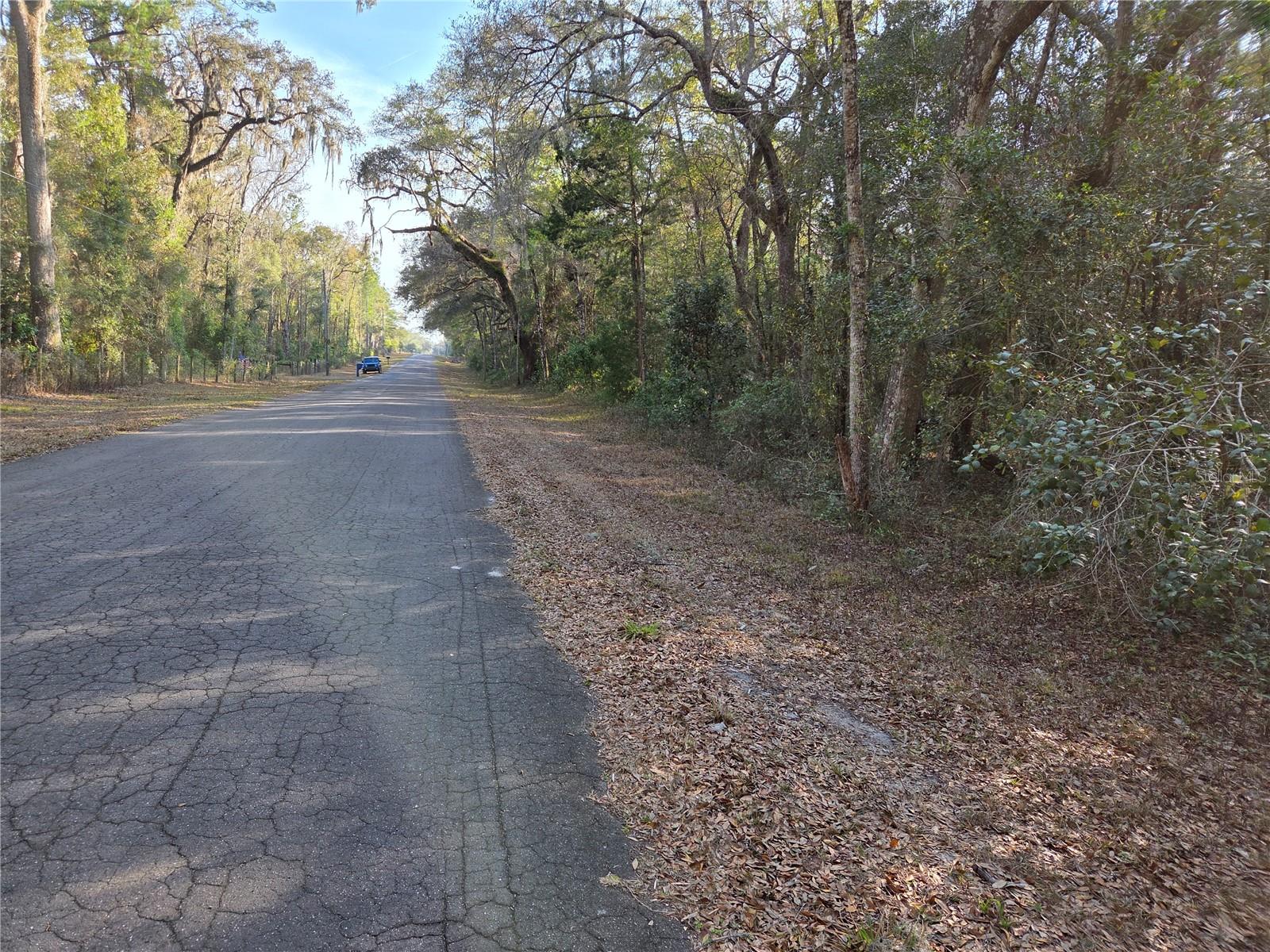 Details for 8150 178th Terrace, WILLISTON, FL 32696