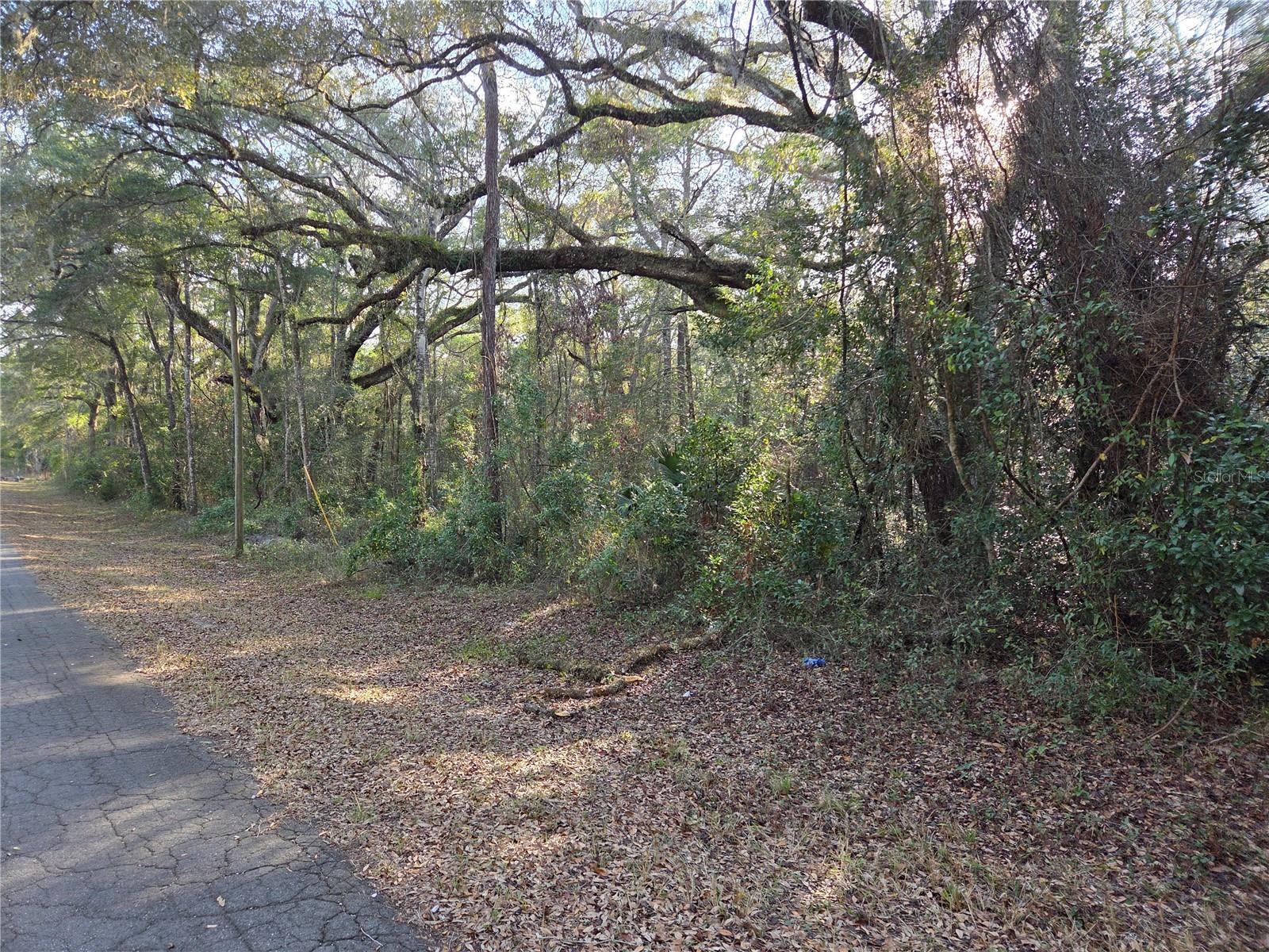 Image 10 of 12 For 8150 178th Terrace