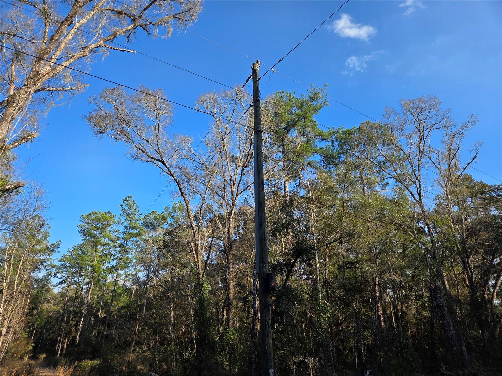 Image 11 of 12 For 8150 178th Terrace