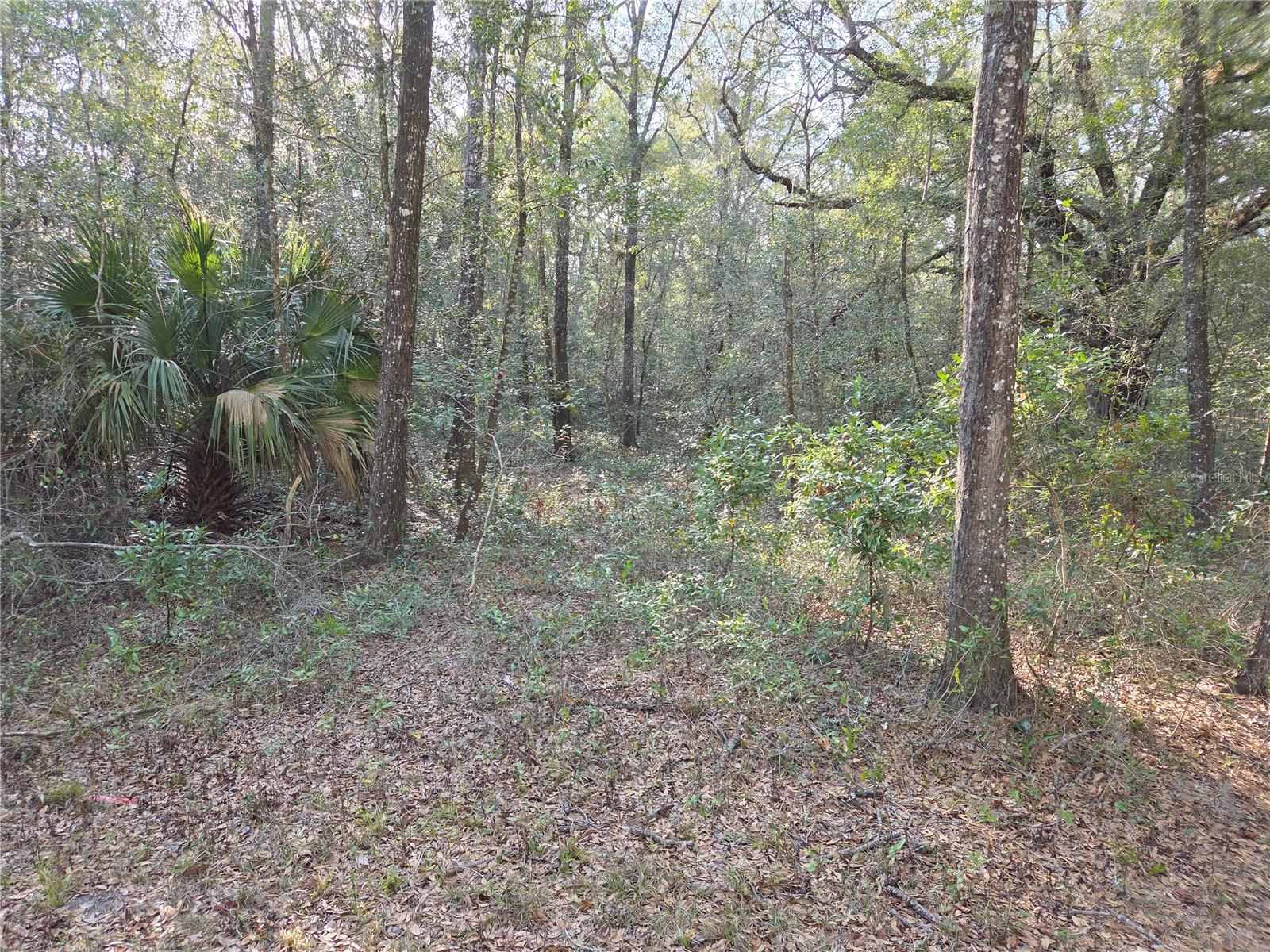 Image 2 of 12 For 8150 178th Terrace