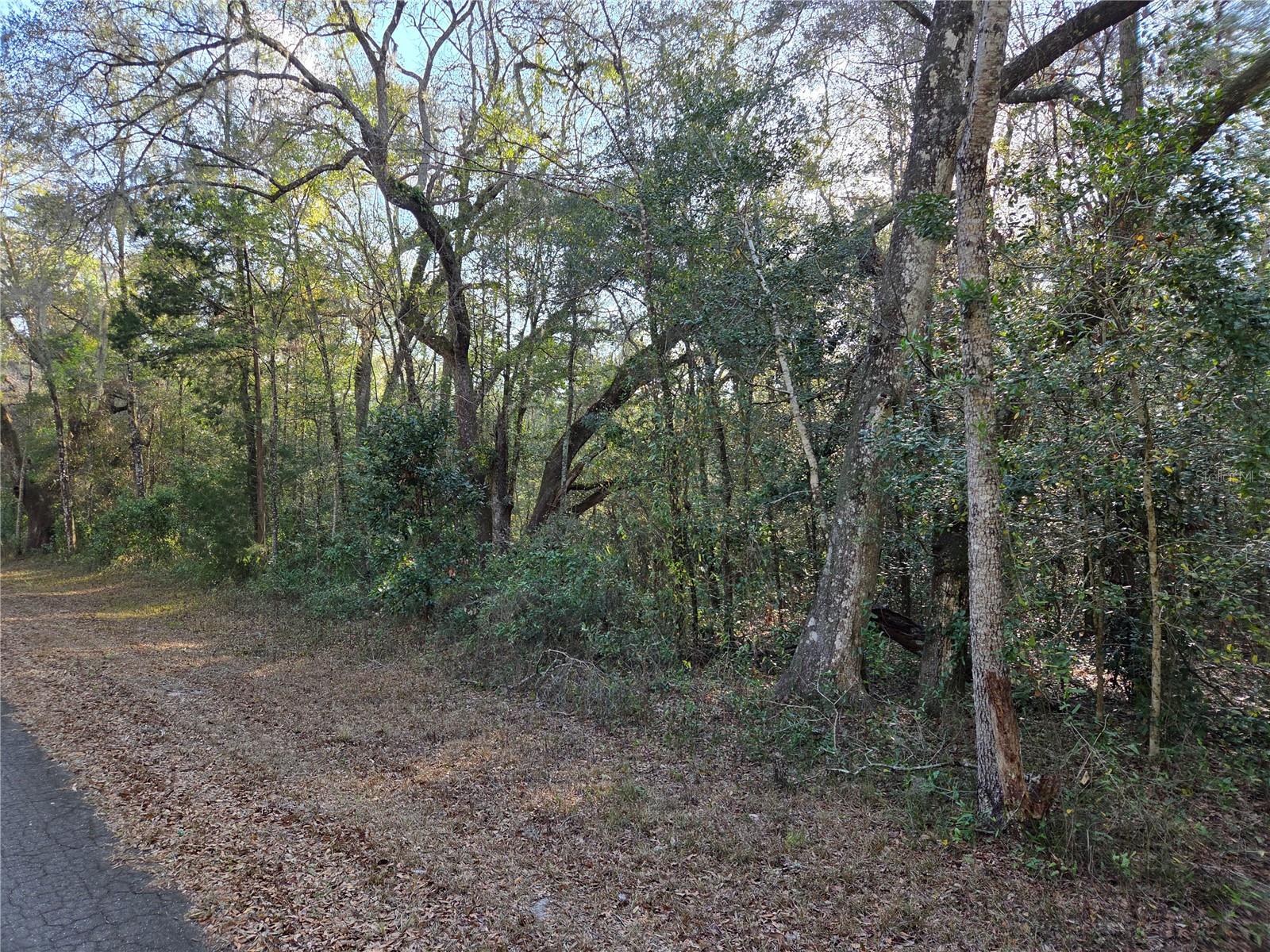 Image 4 of 12 For 8150 178th Terrace