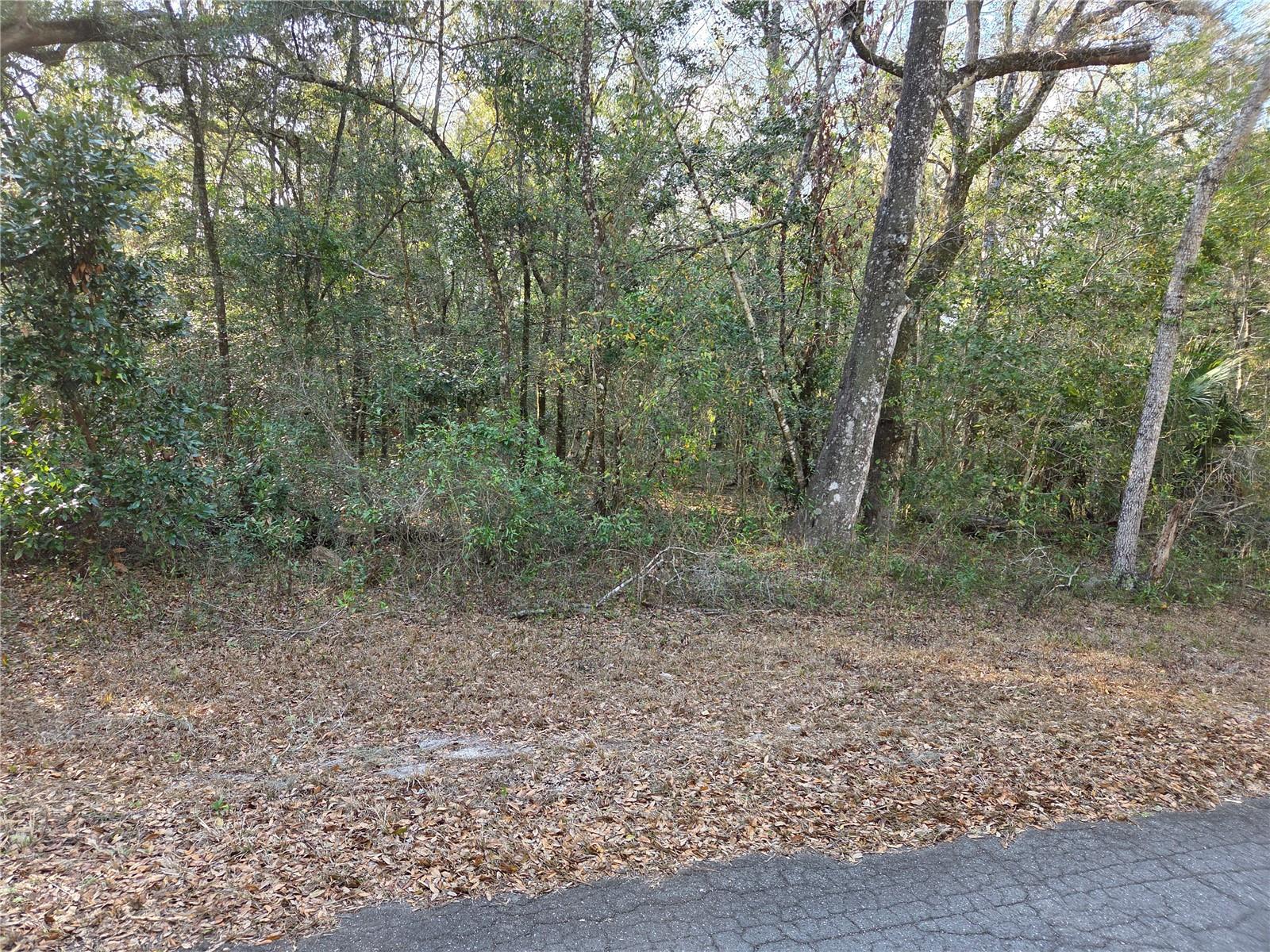 Image 5 of 12 For 8150 178th Terrace