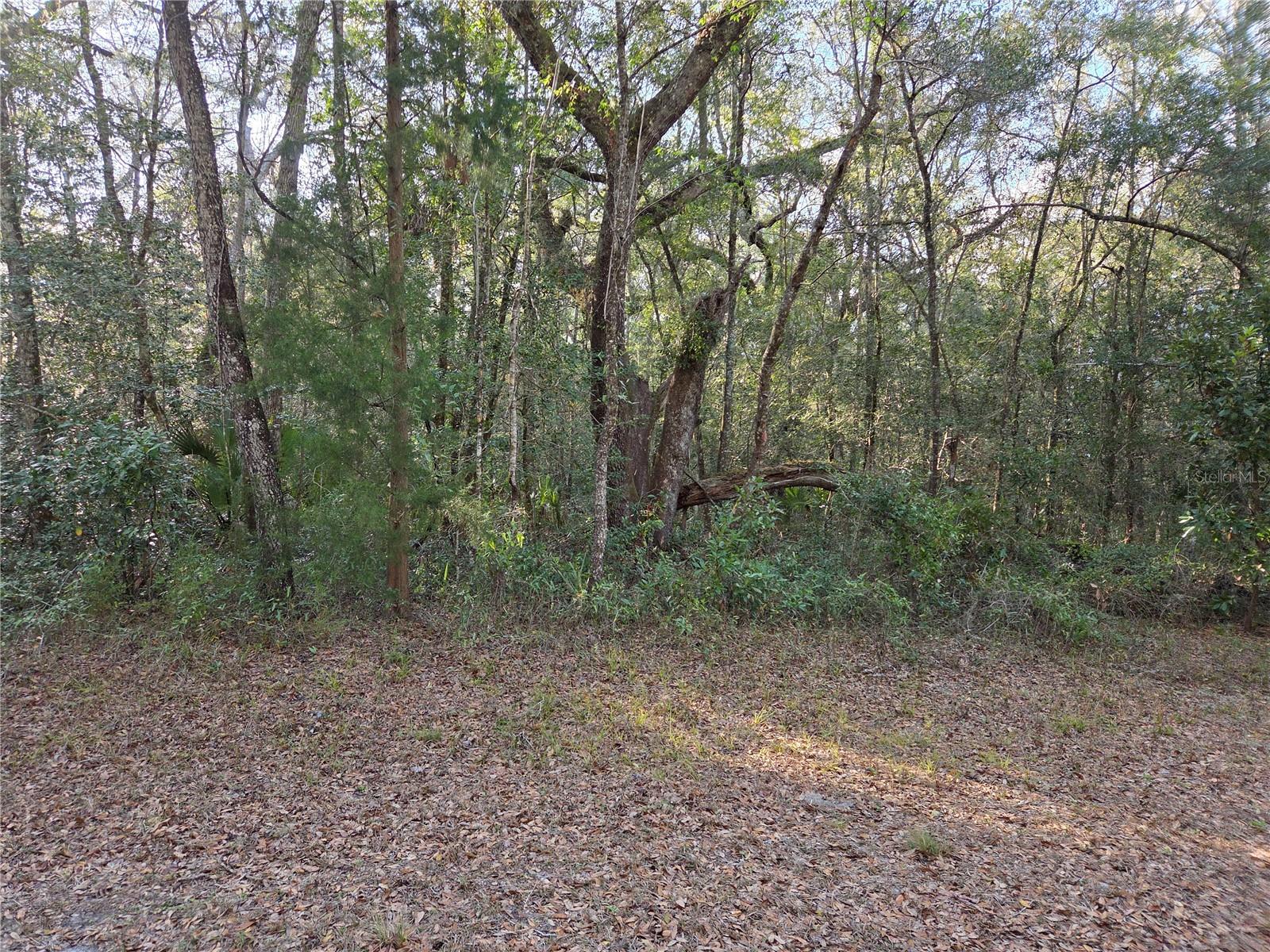 Image 6 of 12 For 8150 178th Terrace