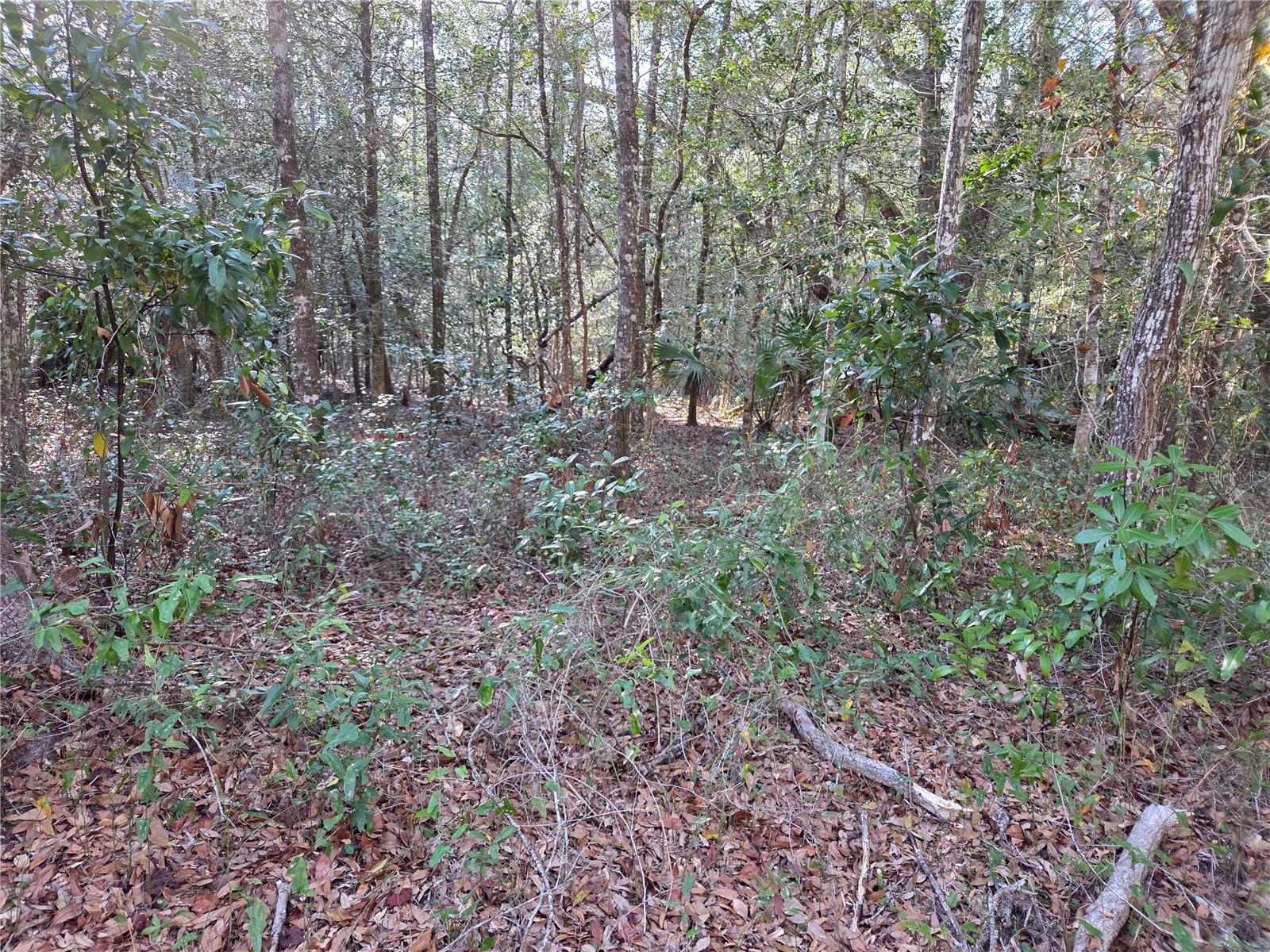 Image 7 of 12 For 8150 178th Terrace