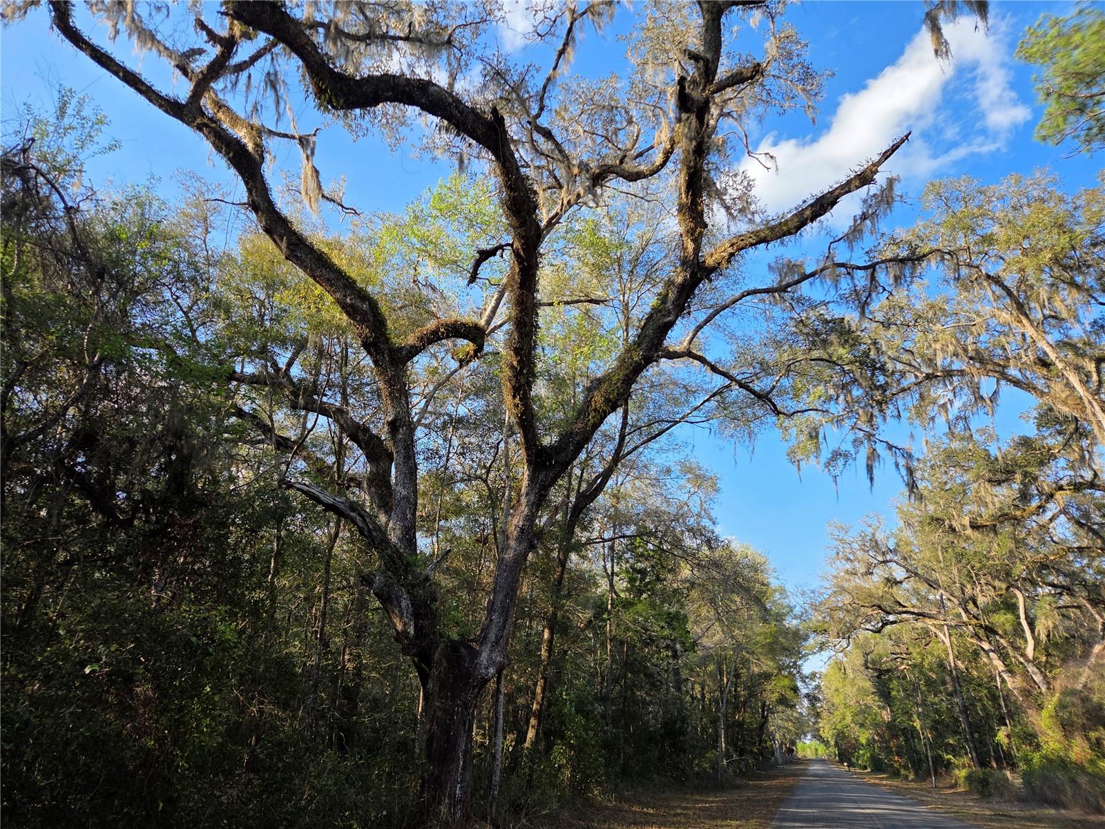 Image 8 of 12 For 8150 178th Terrace