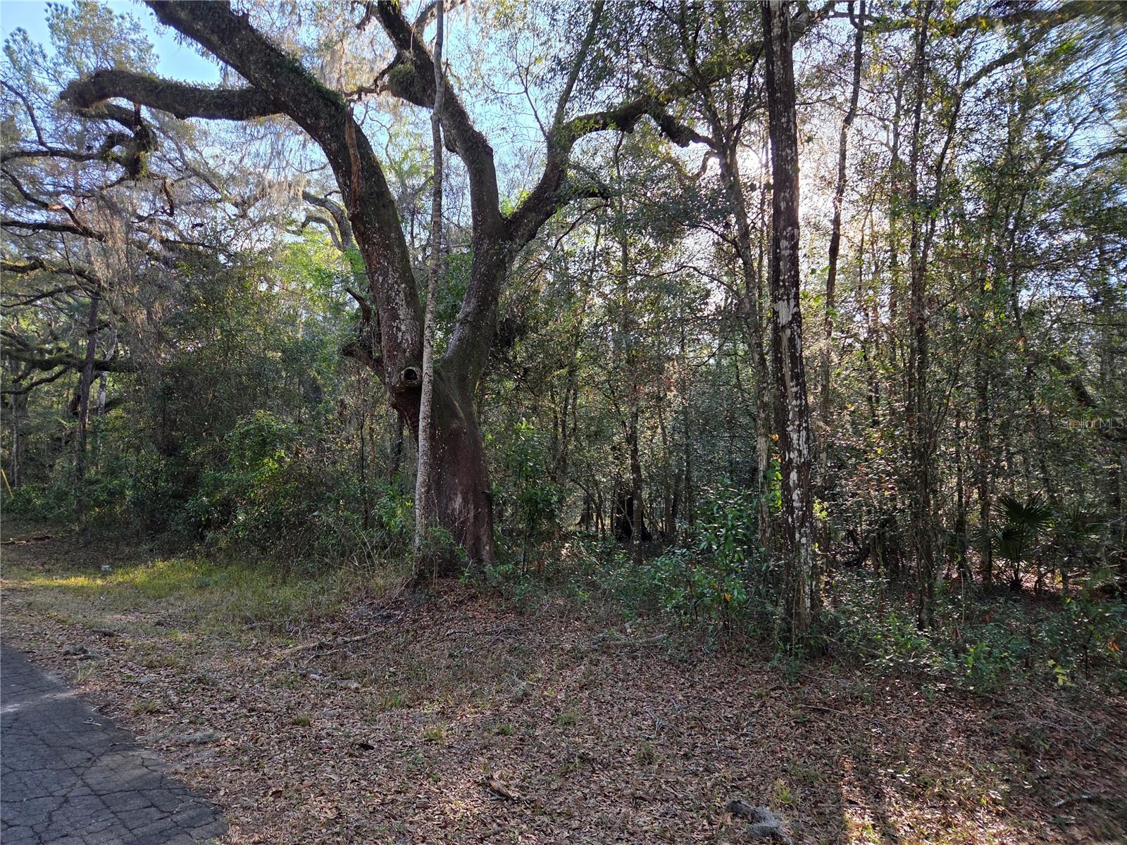 Image 9 of 12 For 8150 178th Terrace