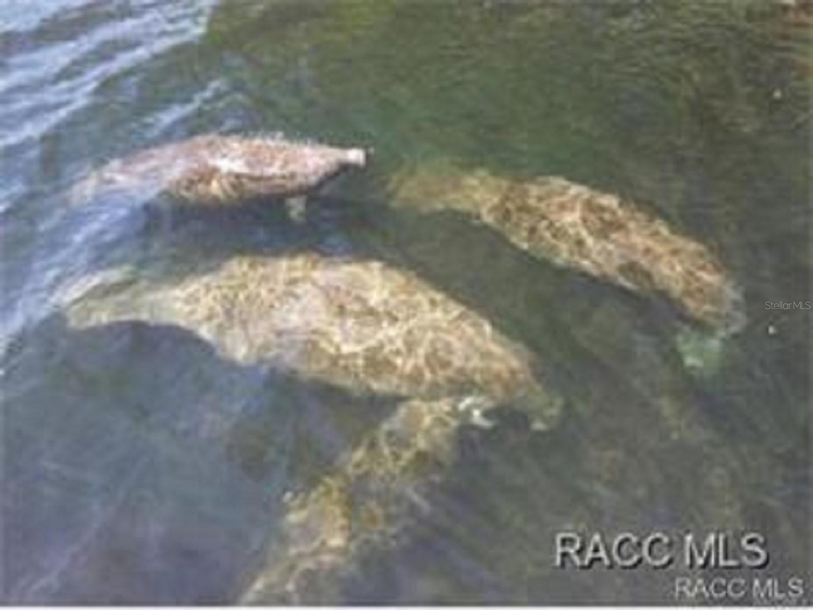 Image 64 of 65 For 6094 Rush Street