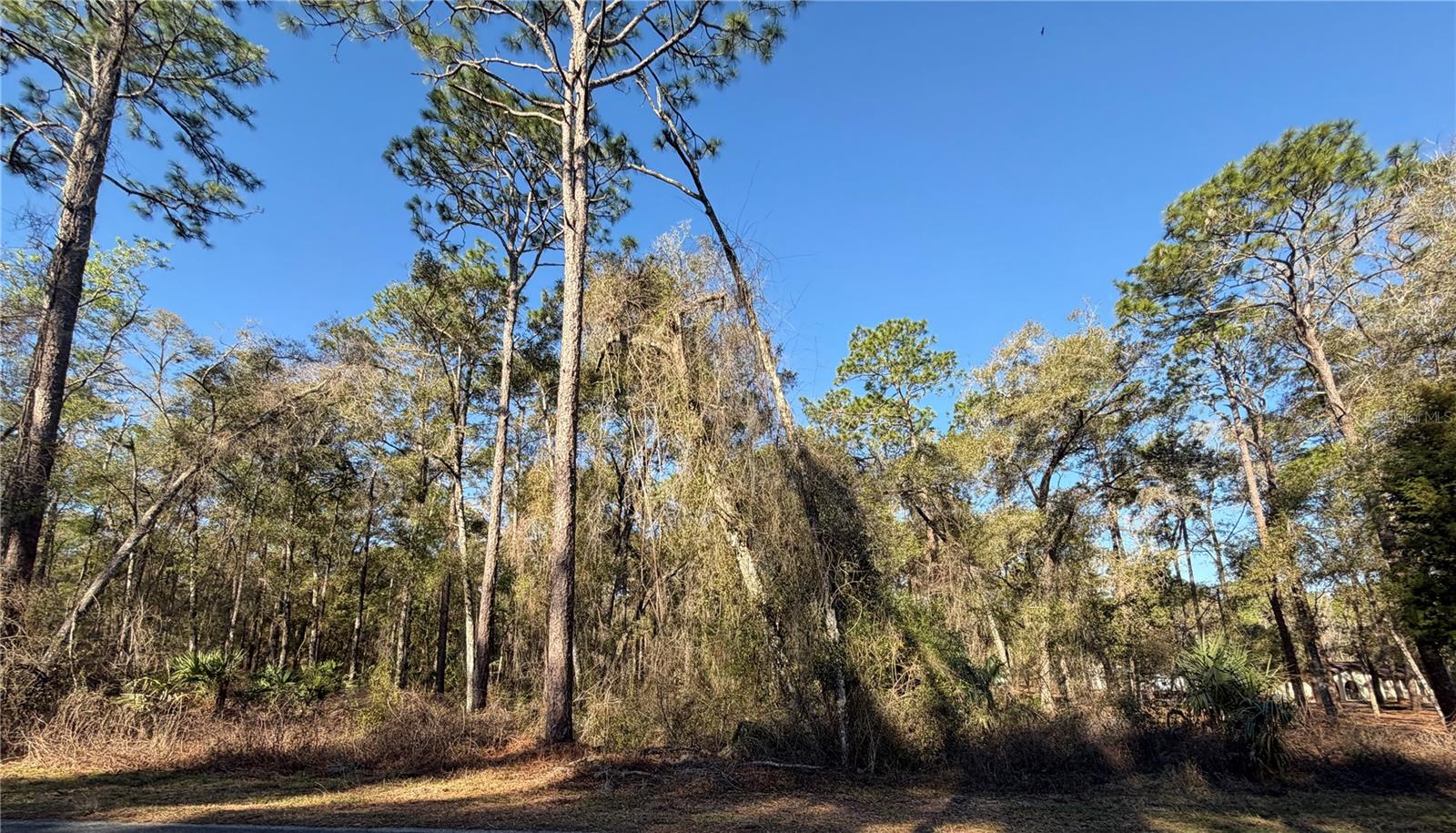 Image 10 of 12 For 5230 Robert Blake Avenue