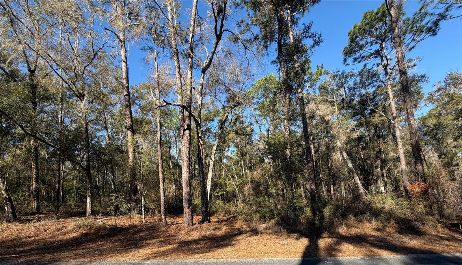 Image 2 of 12 For 5230 Robert Blake Avenue