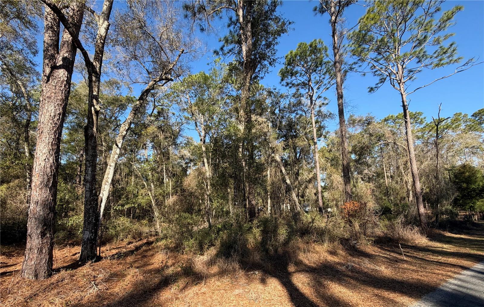 Image 3 of 12 For 5230 Robert Blake Avenue