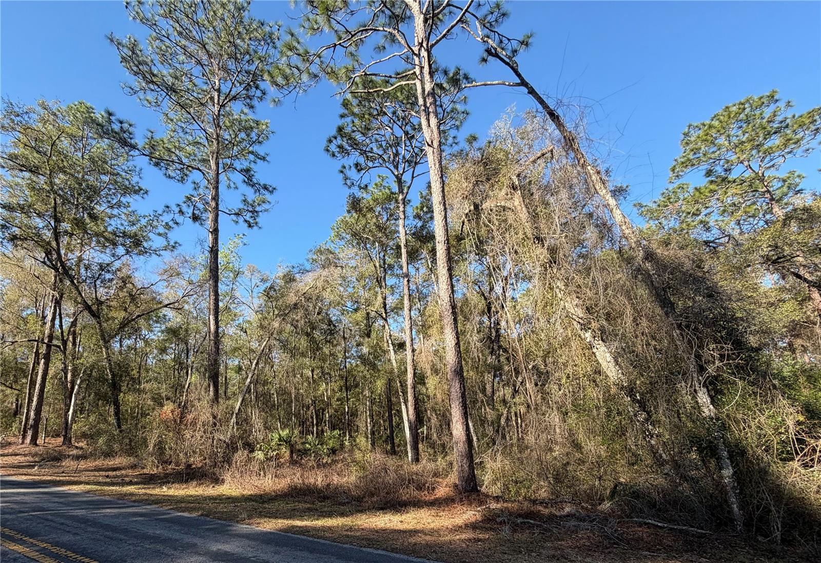 Image 4 of 12 For 5230 Robert Blake Avenue