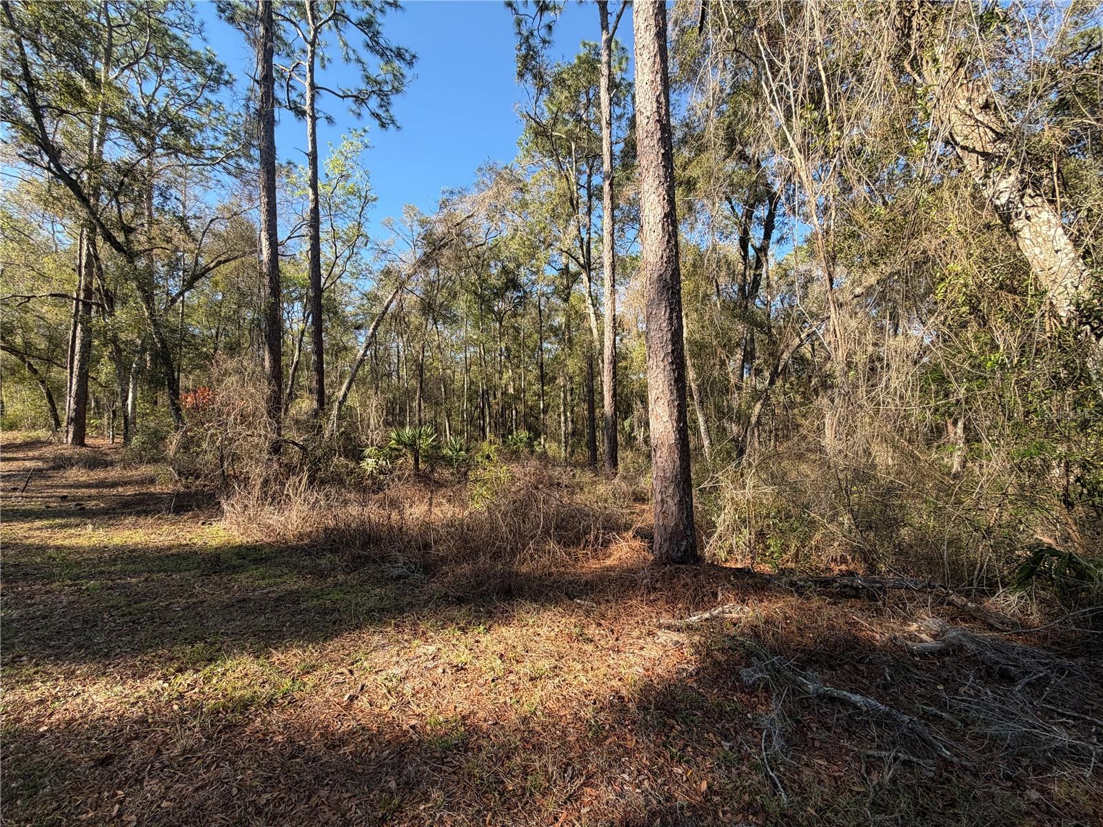 Image 5 of 12 For 5230 Robert Blake Avenue