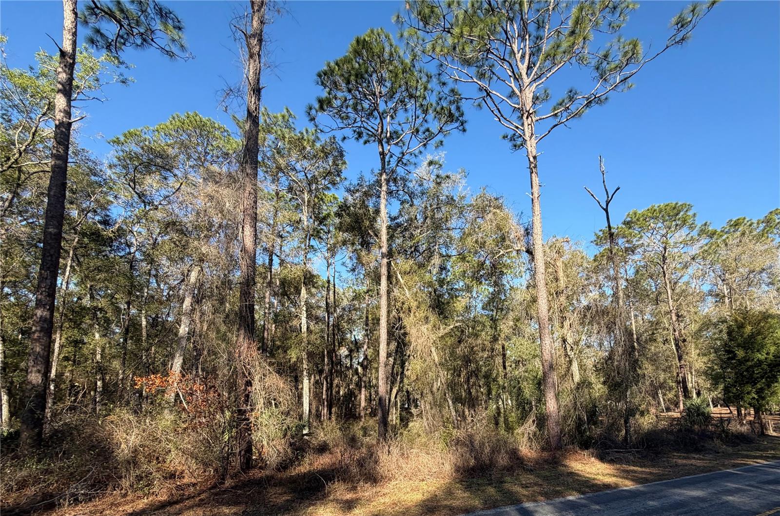 Image 6 of 12 For 5230 Robert Blake Avenue